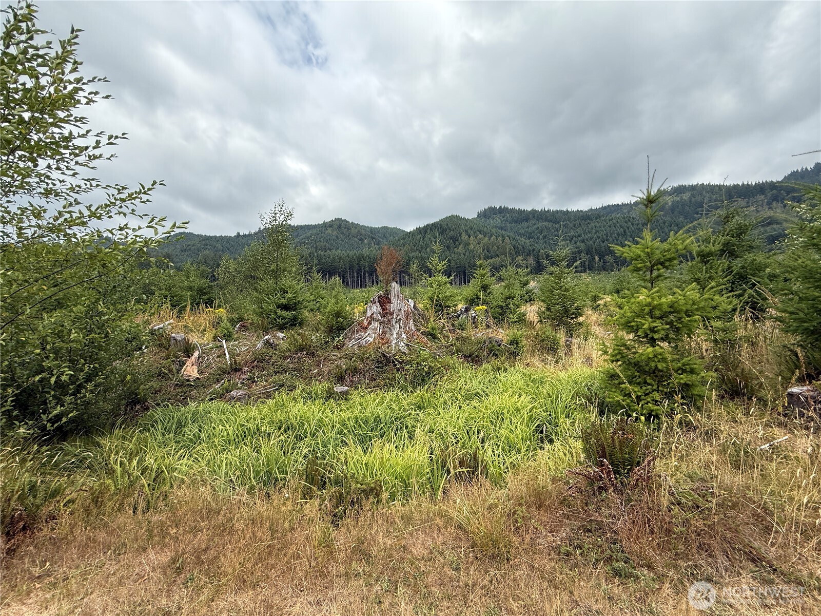 327 xx Kolisch Road E