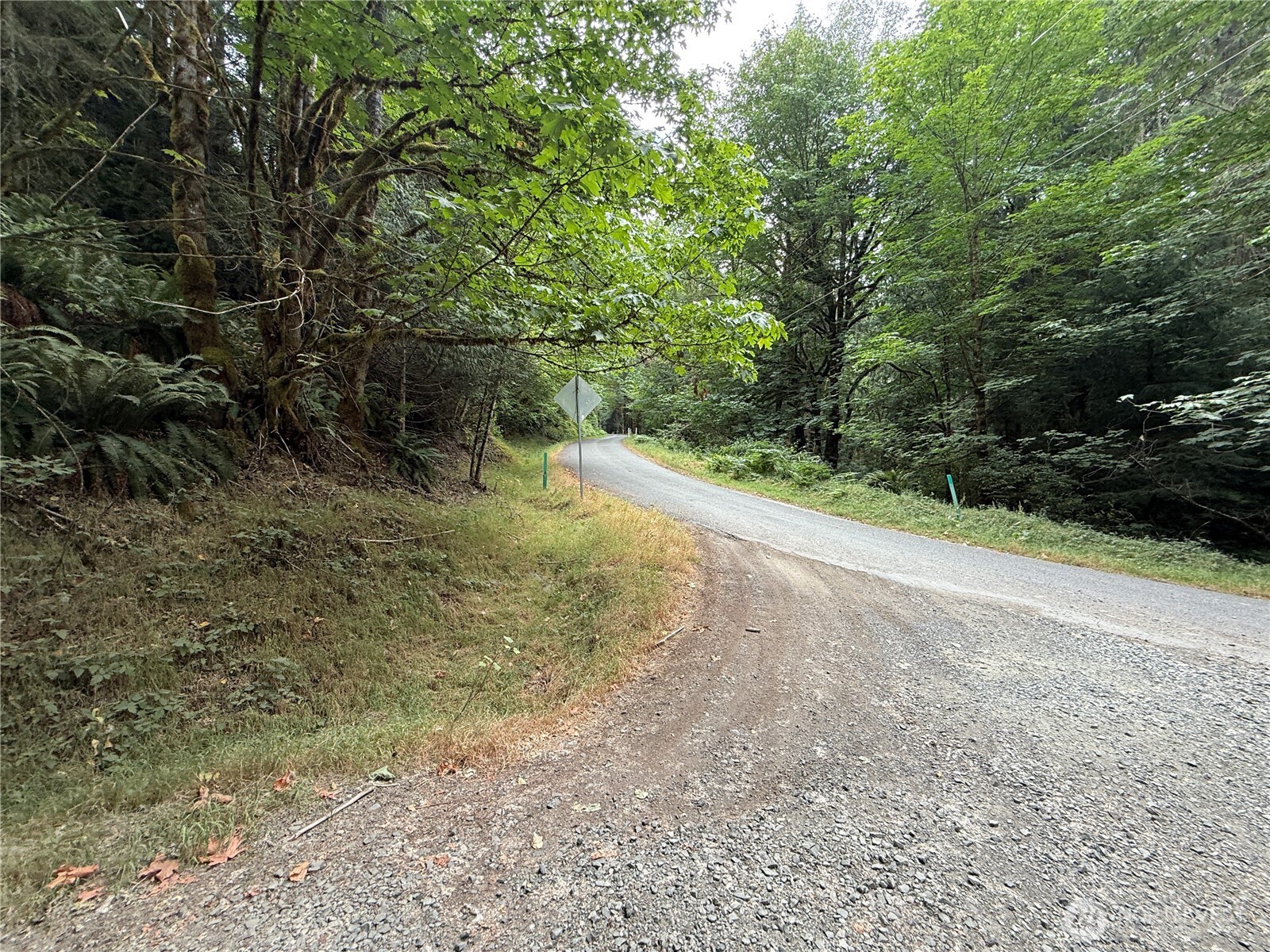 327 xx Kolisch Road E