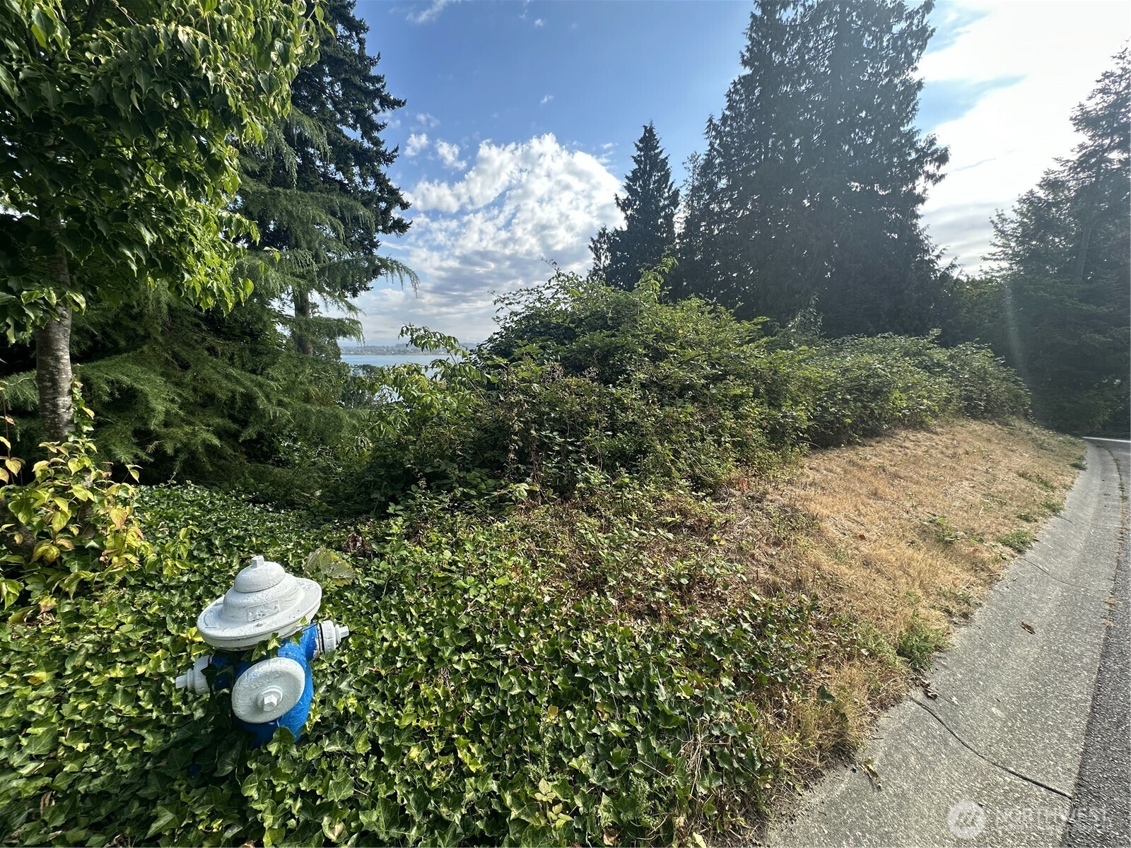 5462 Night Heron Drive