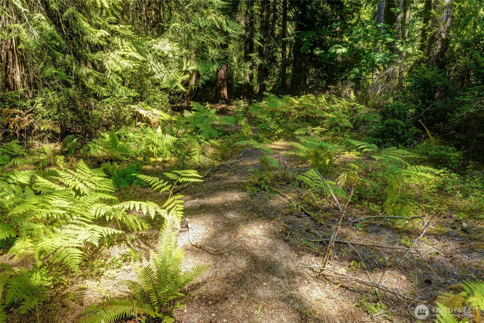 1124 E Sunset Hill Road