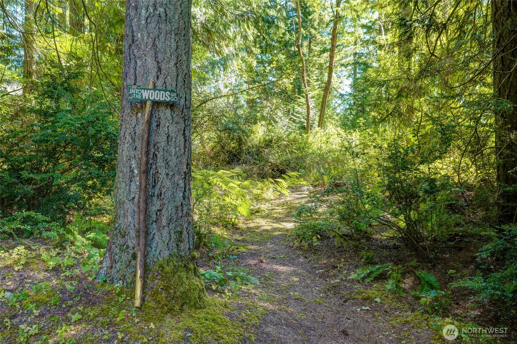 1124 E Sunset Hill Road