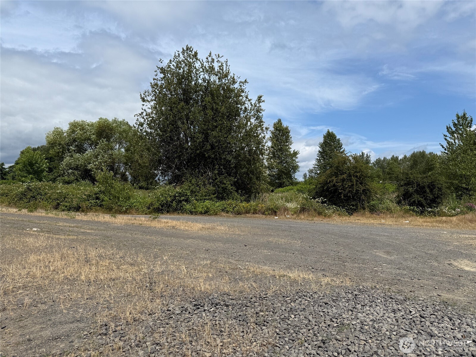 0 SW Newaukum Avenue
