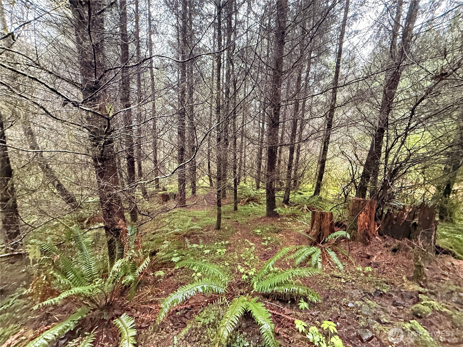 0 Bunker Creek Road