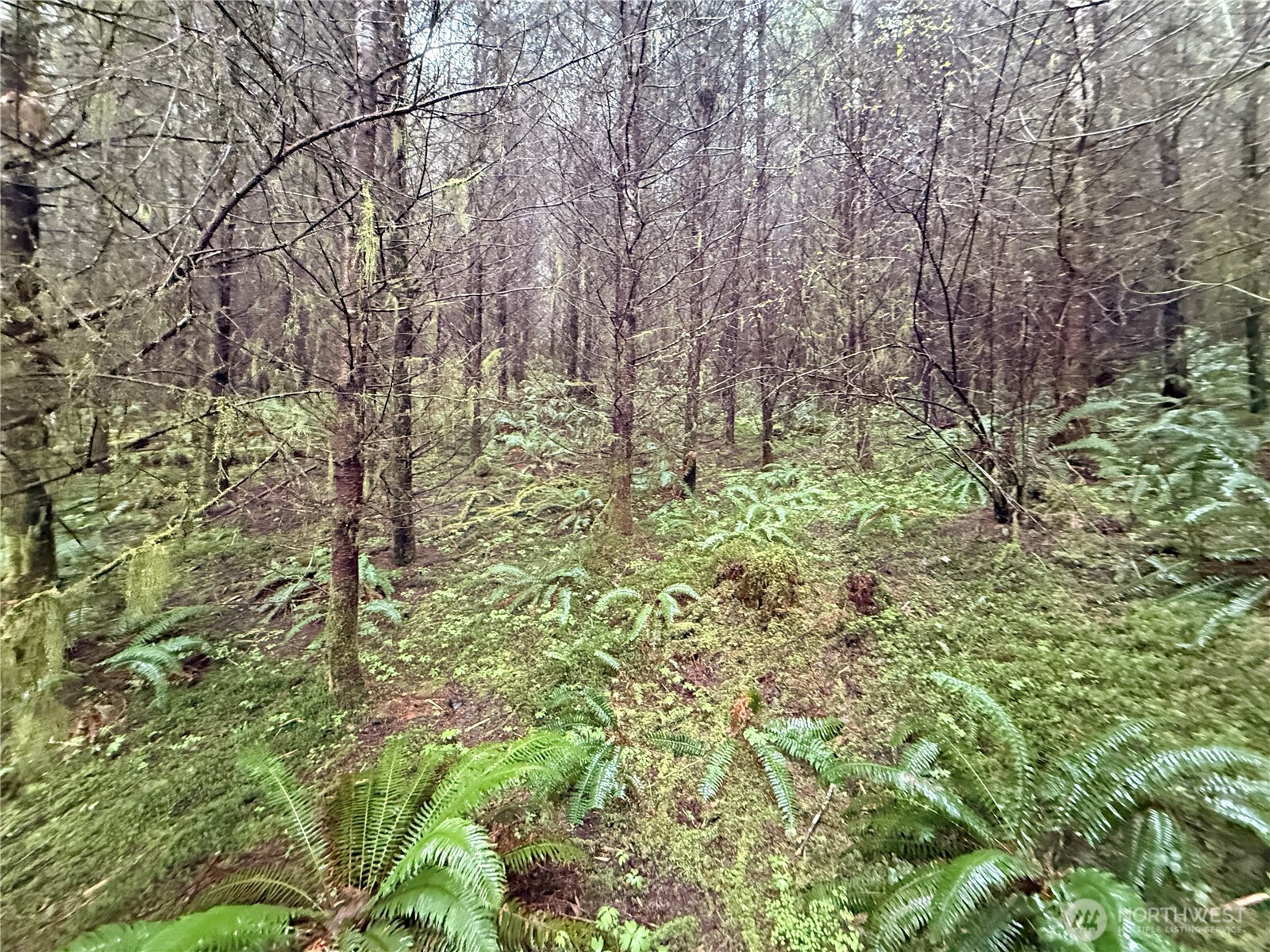 0 Bunker Creek Road