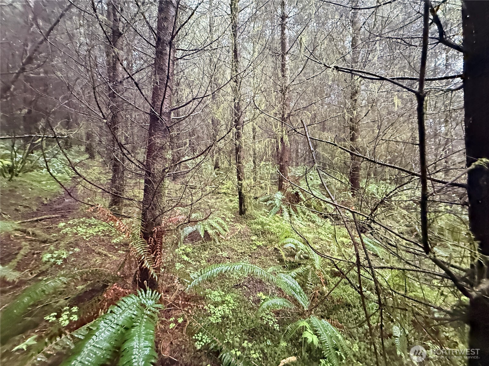 0 Bunker Creek Road