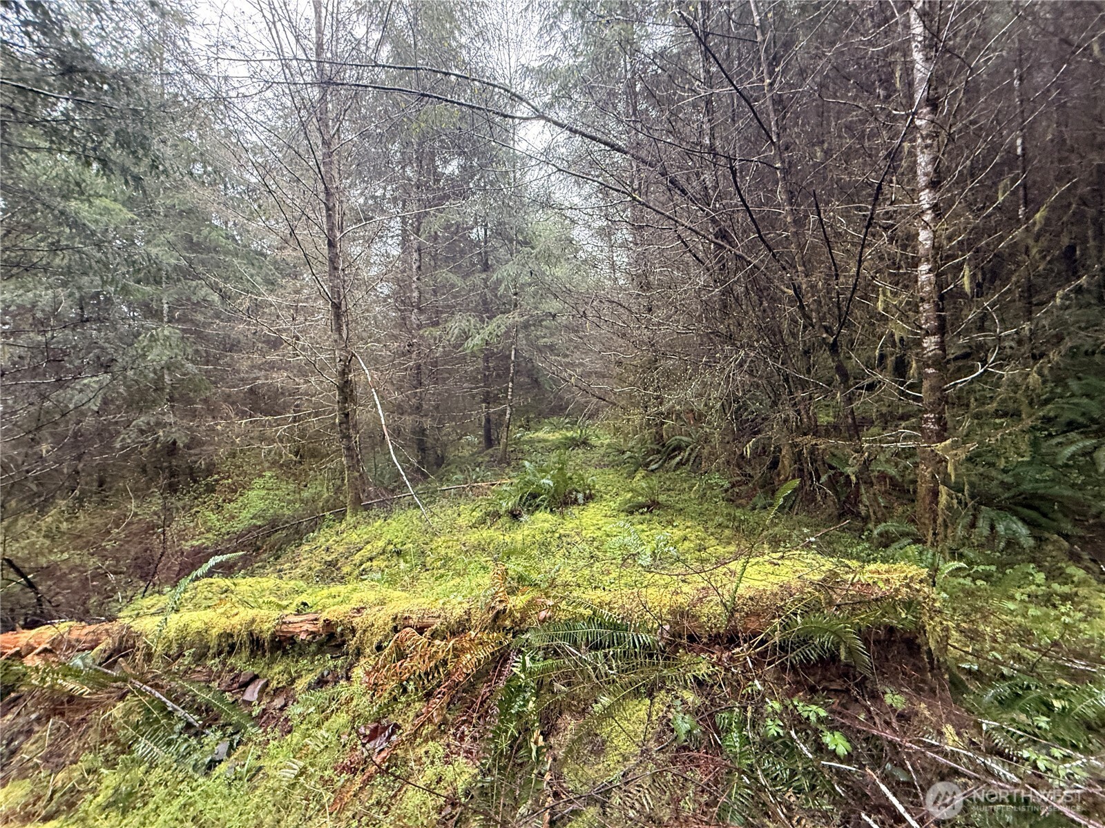 0 Bunker Creek Road