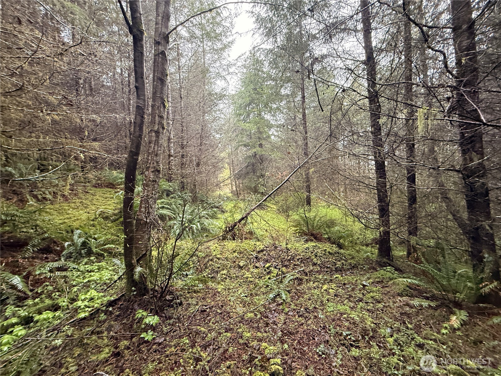 0 Bunker Creek Road