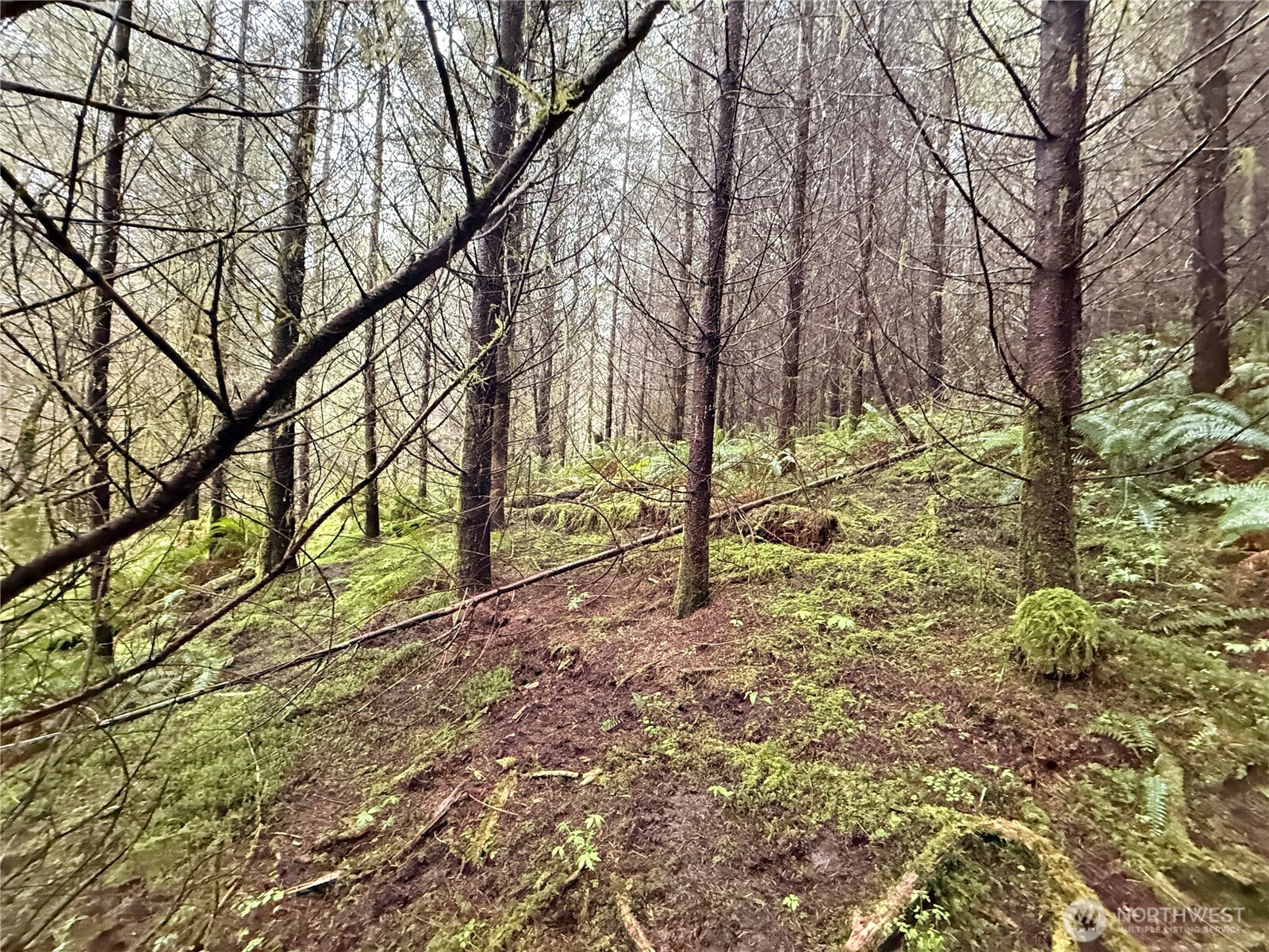 0 Bunker Creek Road