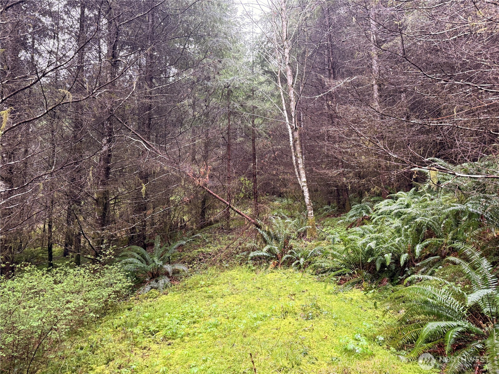 0 Bunker Creek Road