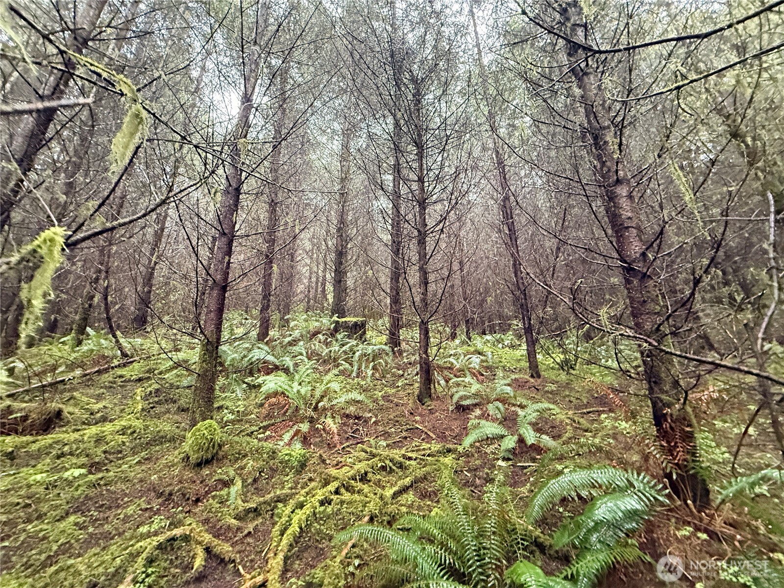 0 Bunker Creek Road