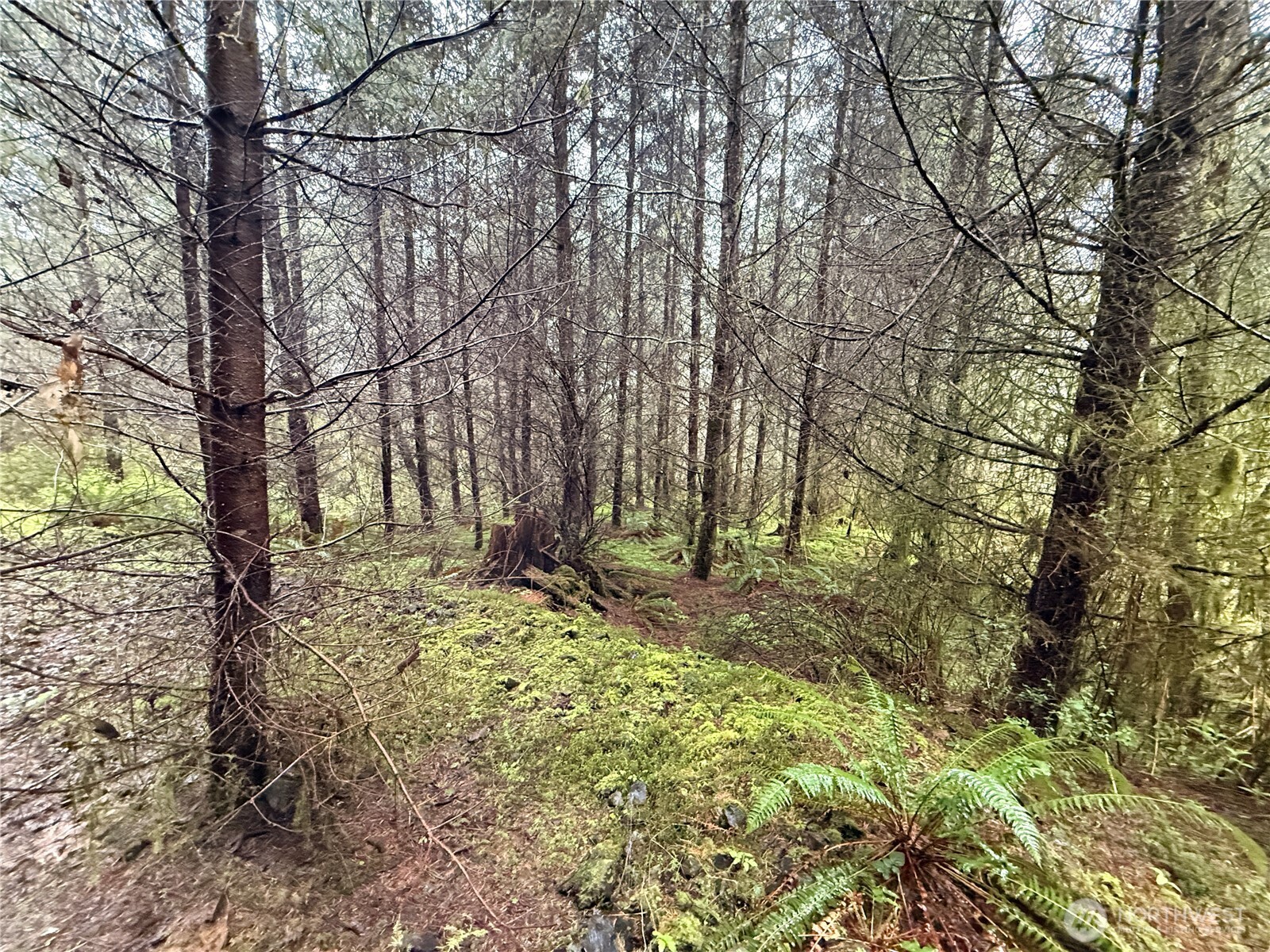 0 Bunker Creek Road