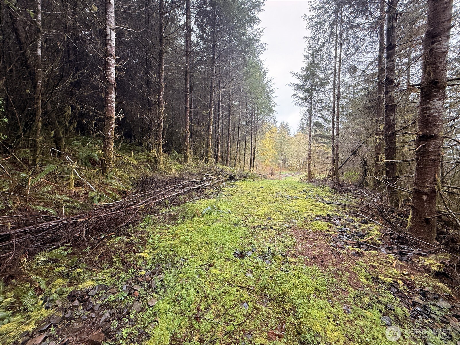 0 Bunker Creek Road