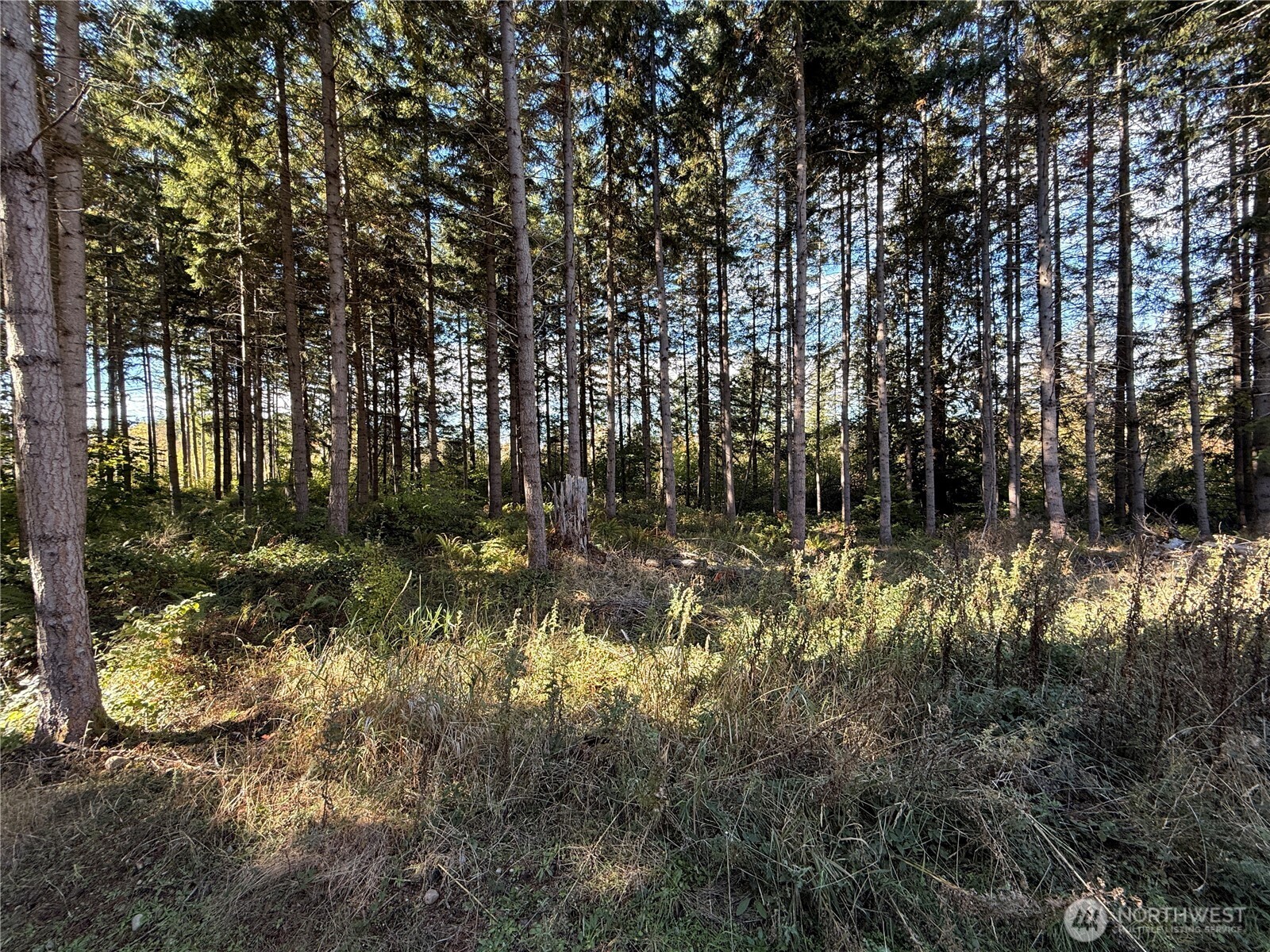 132 xx Algyer Road SE