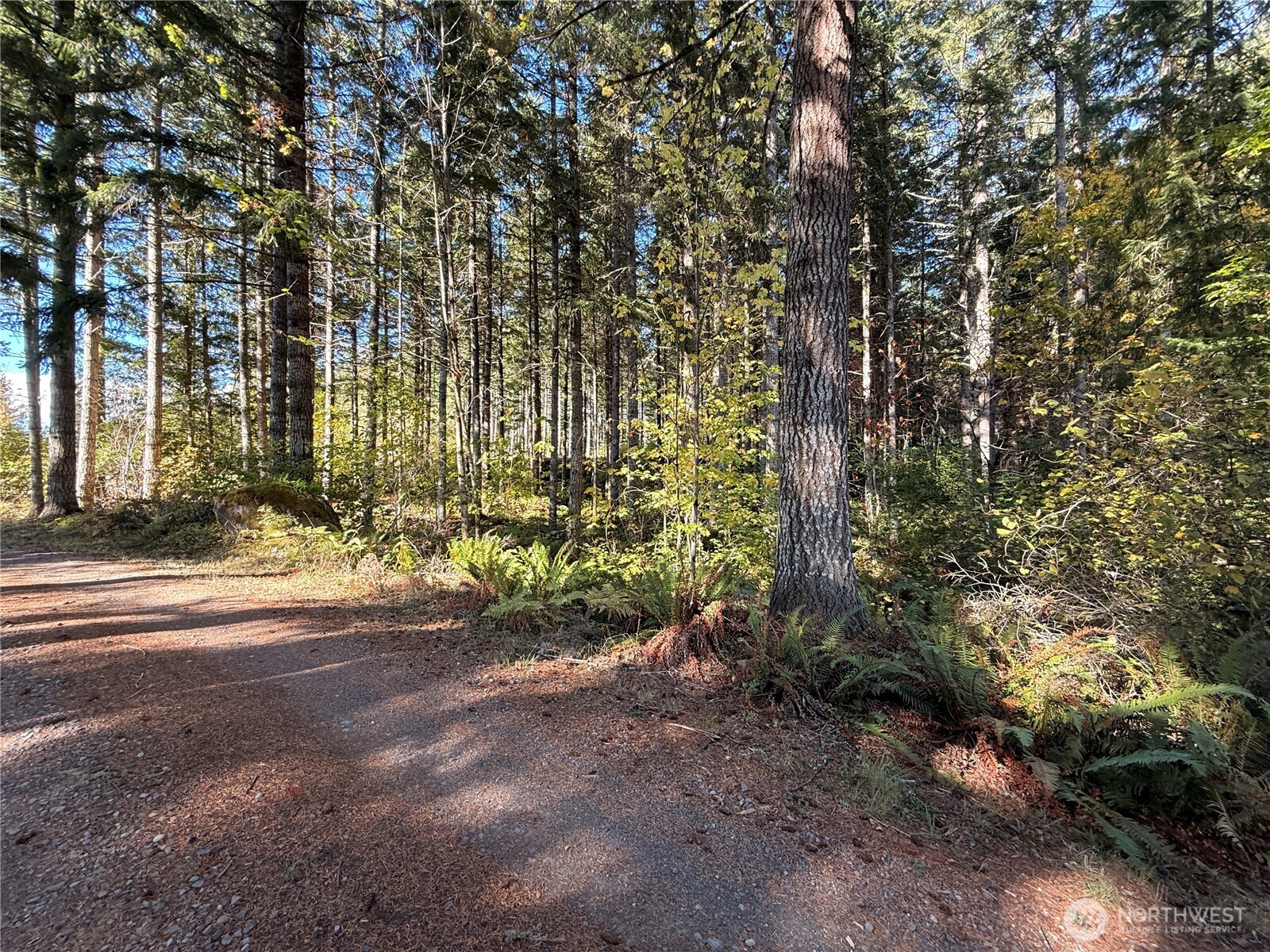 132 xx Algyer Road SE