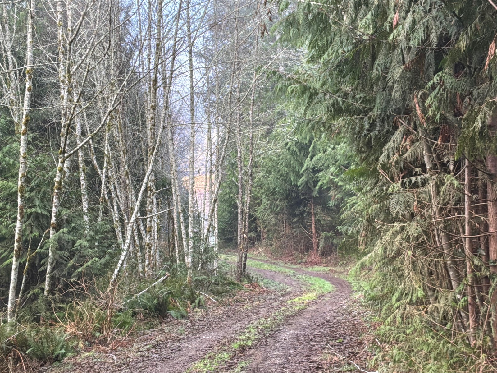 216 xx Zenkner Valley Road SW