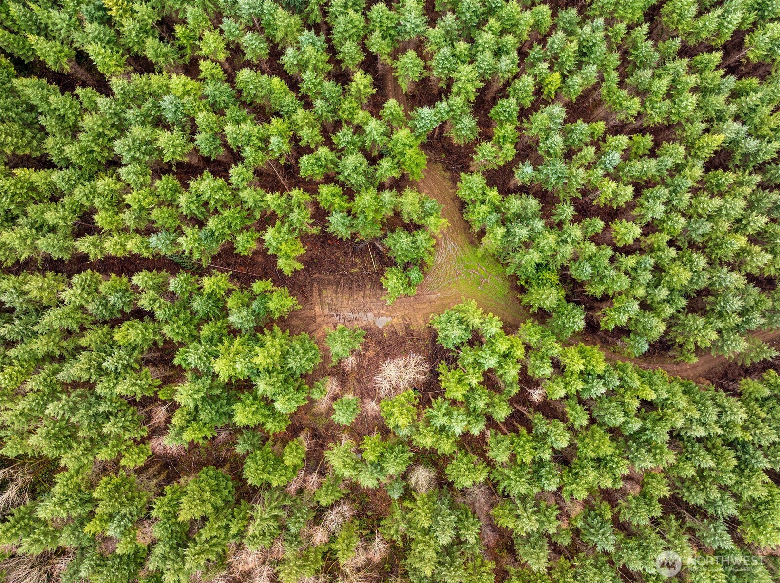 216 xx Zenkner Valley Road SW