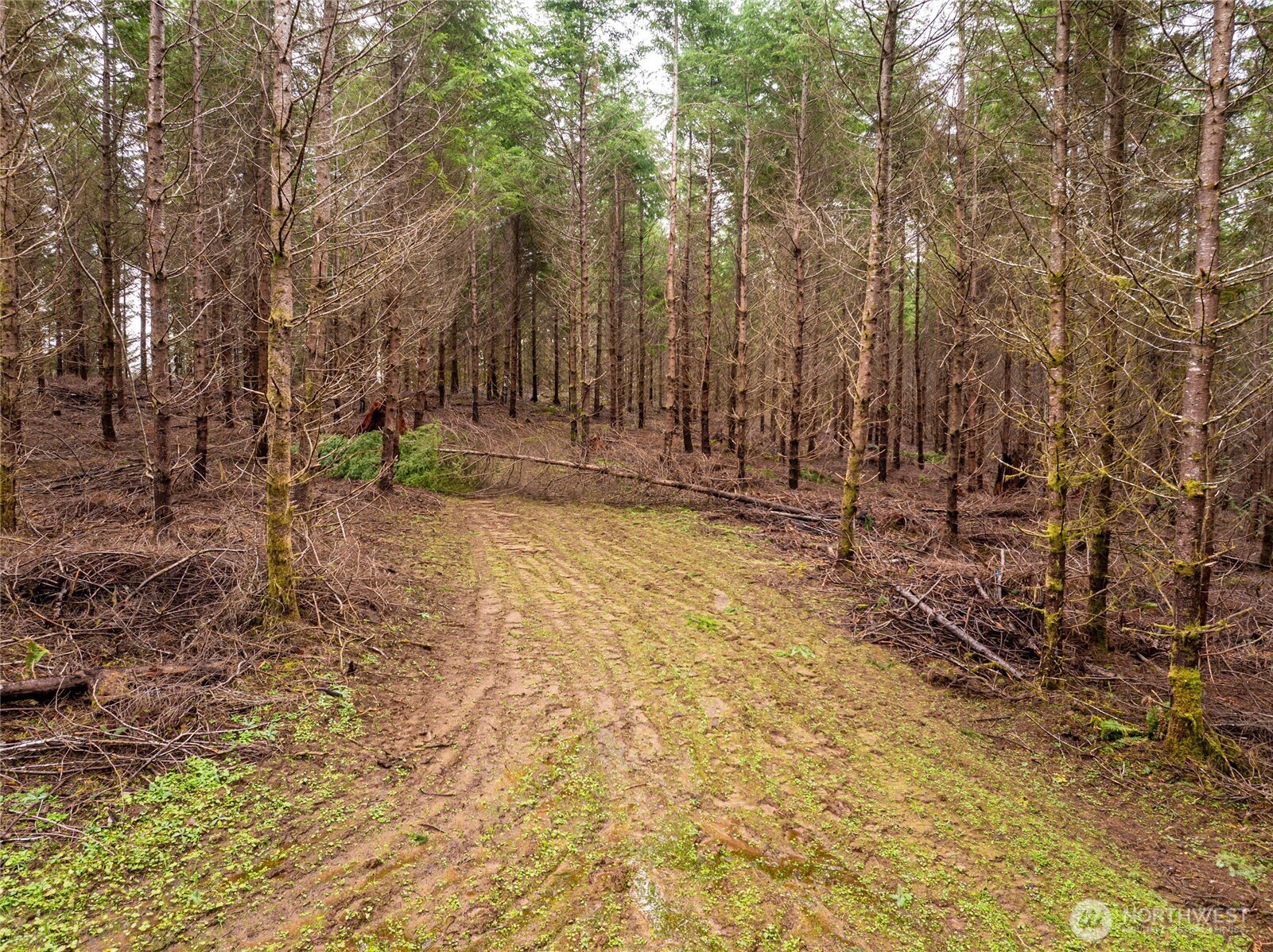 216 xx Zenkner Valley Road SW