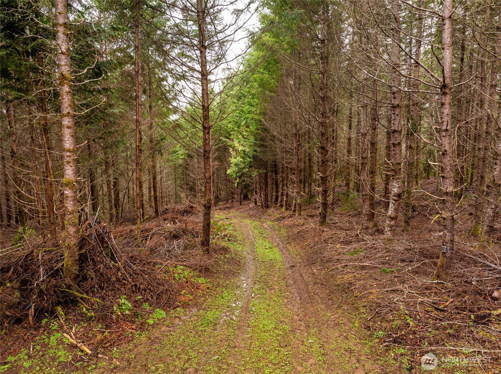 216 xx Zenkner Valley Road SW