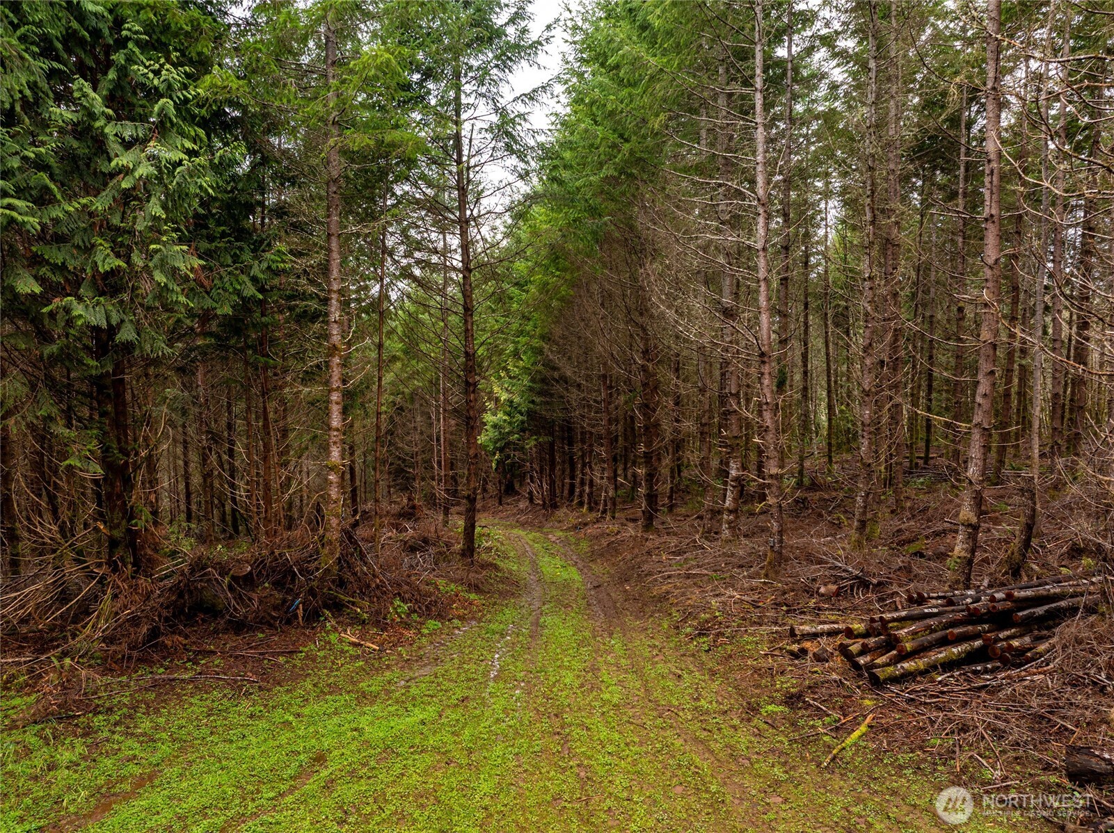 216 xx Zenkner Valley Road SW