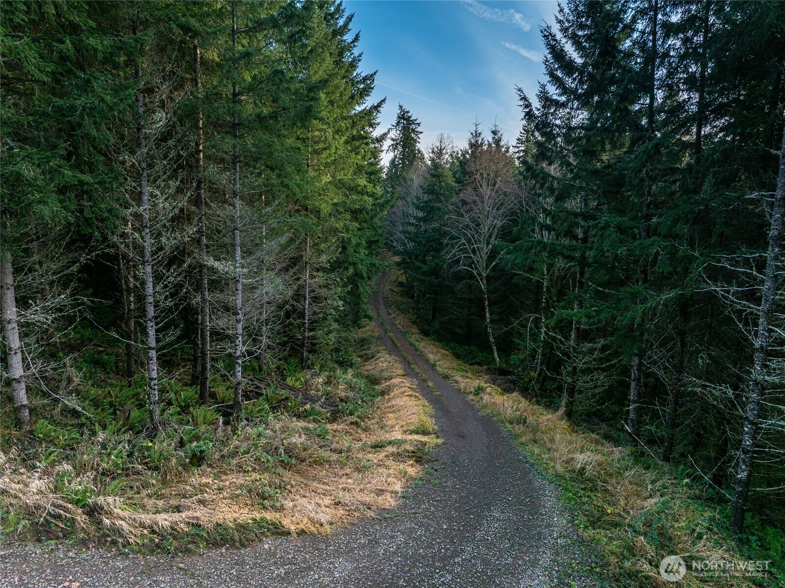 50 x Winston Creek Road
