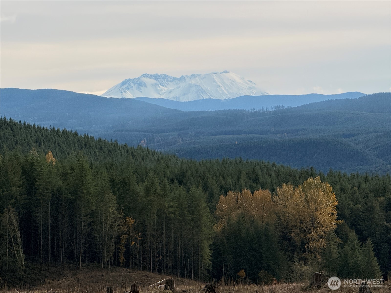 50 x Winston Creek Road