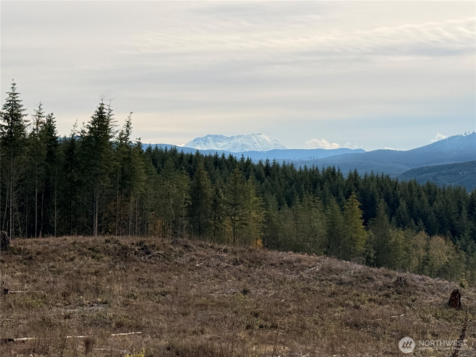 50 x Winston Creek Road