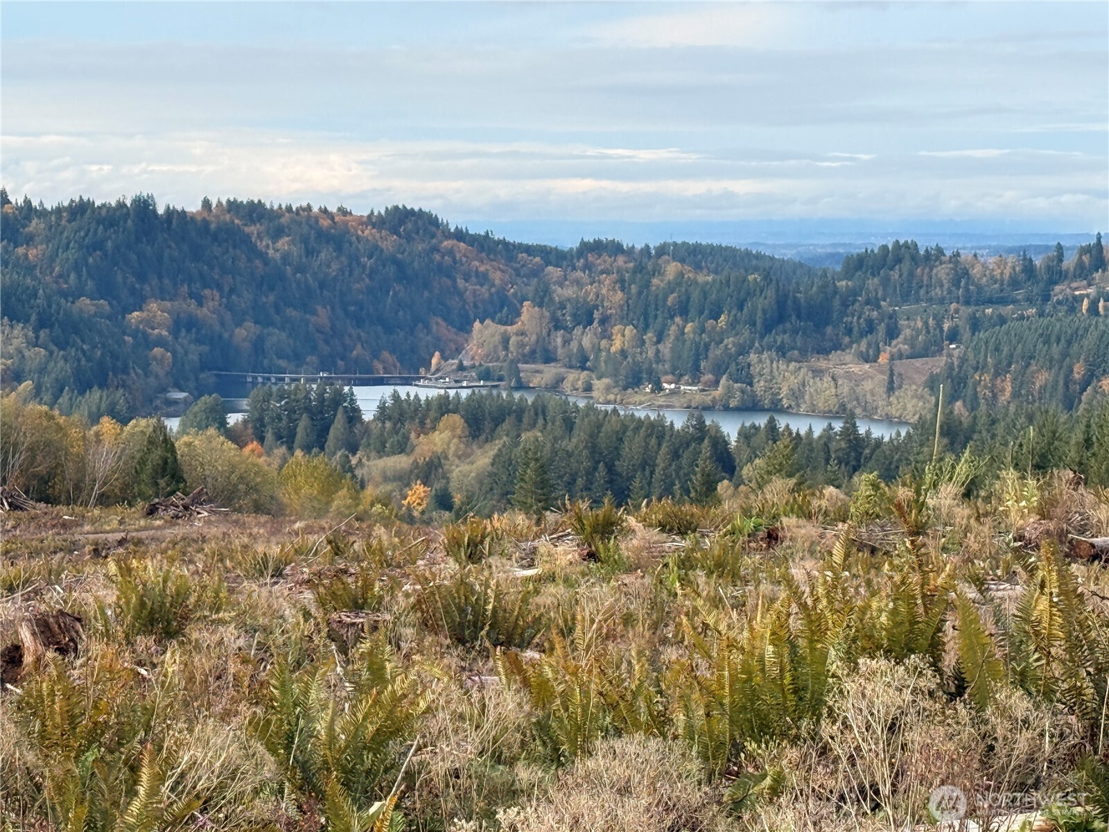 50 x Winston Creek Road
