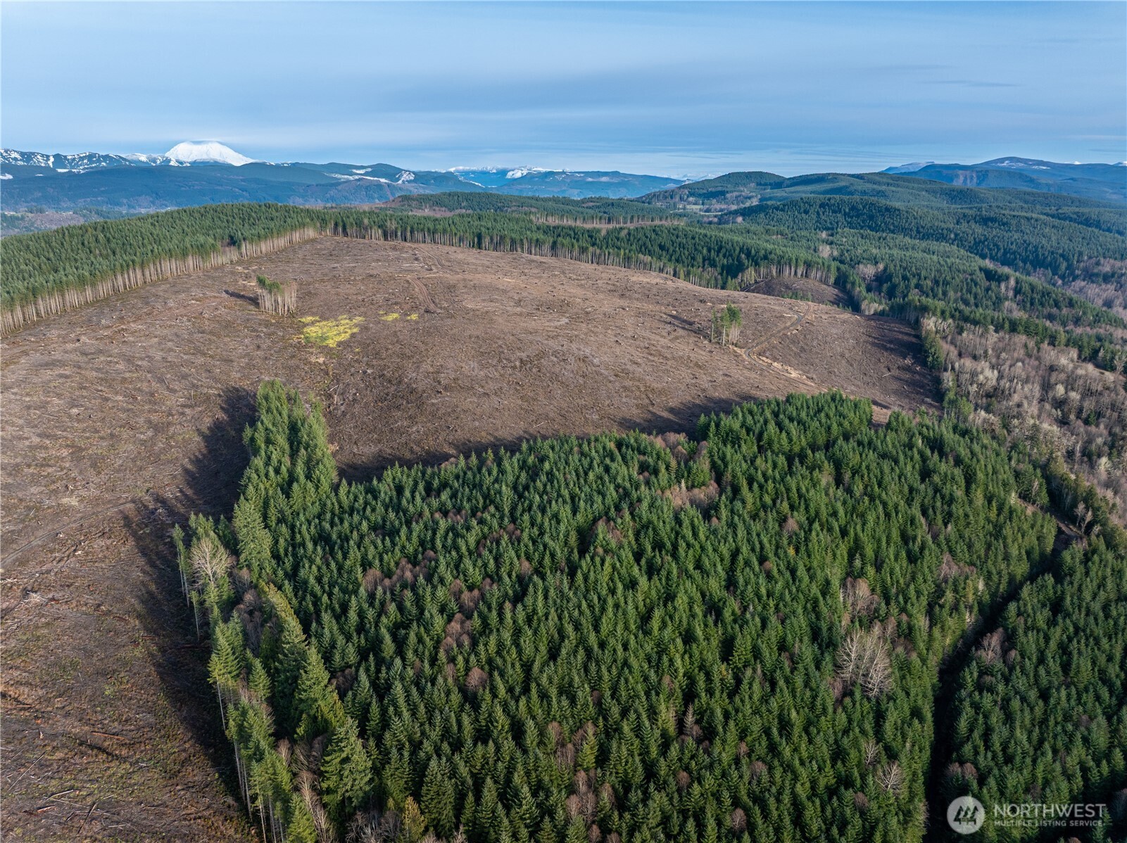 50 x Winston Creek Road