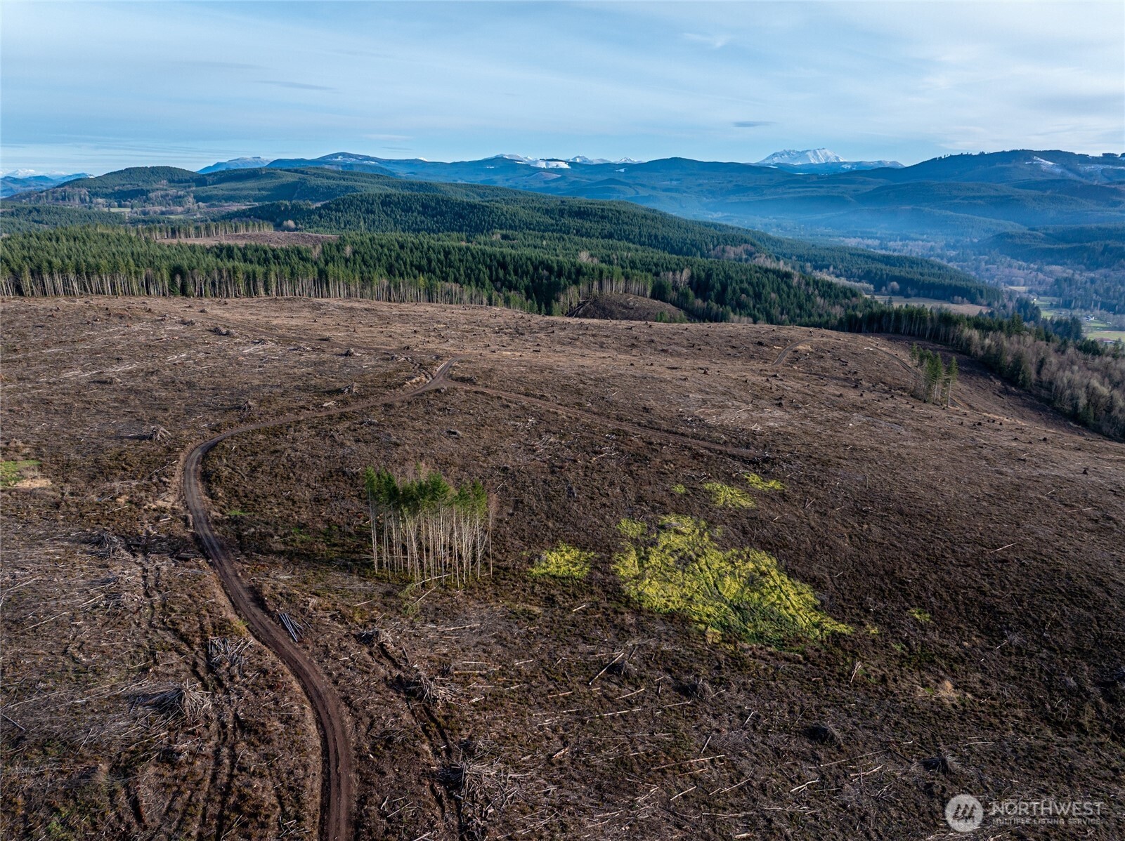 50 x Winston Creek Road