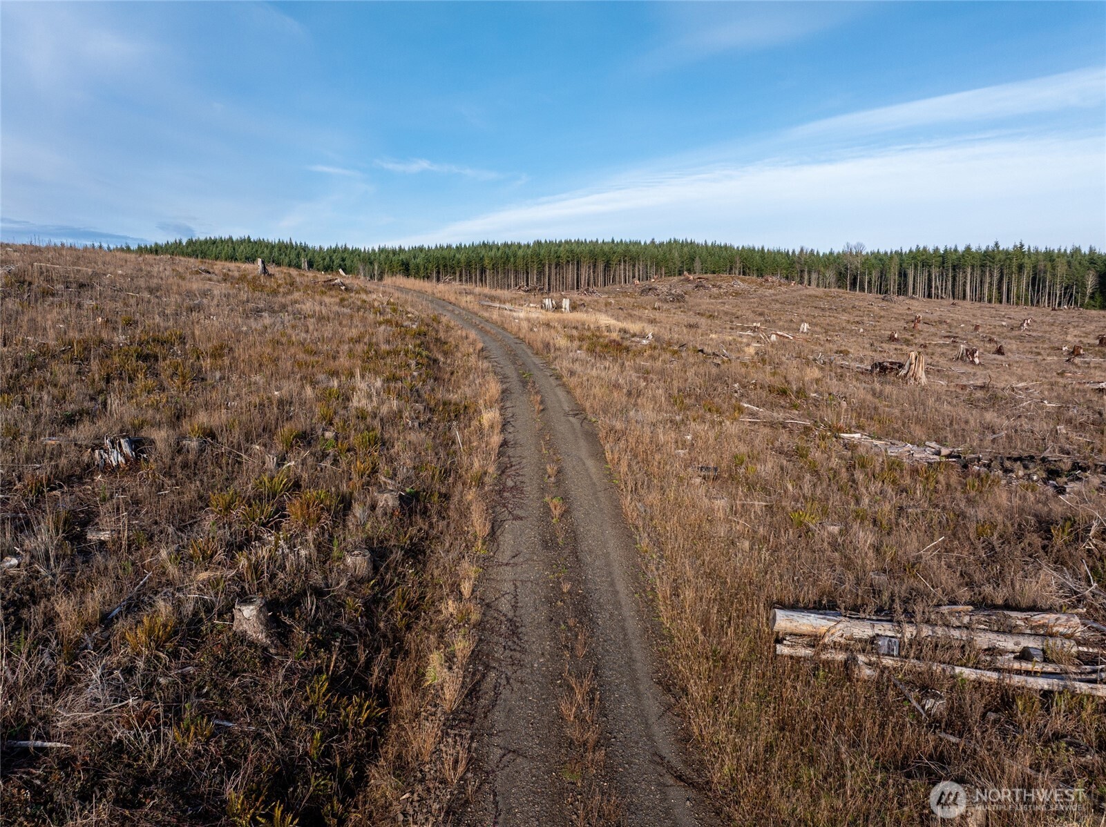 50 x Winston Creek Road