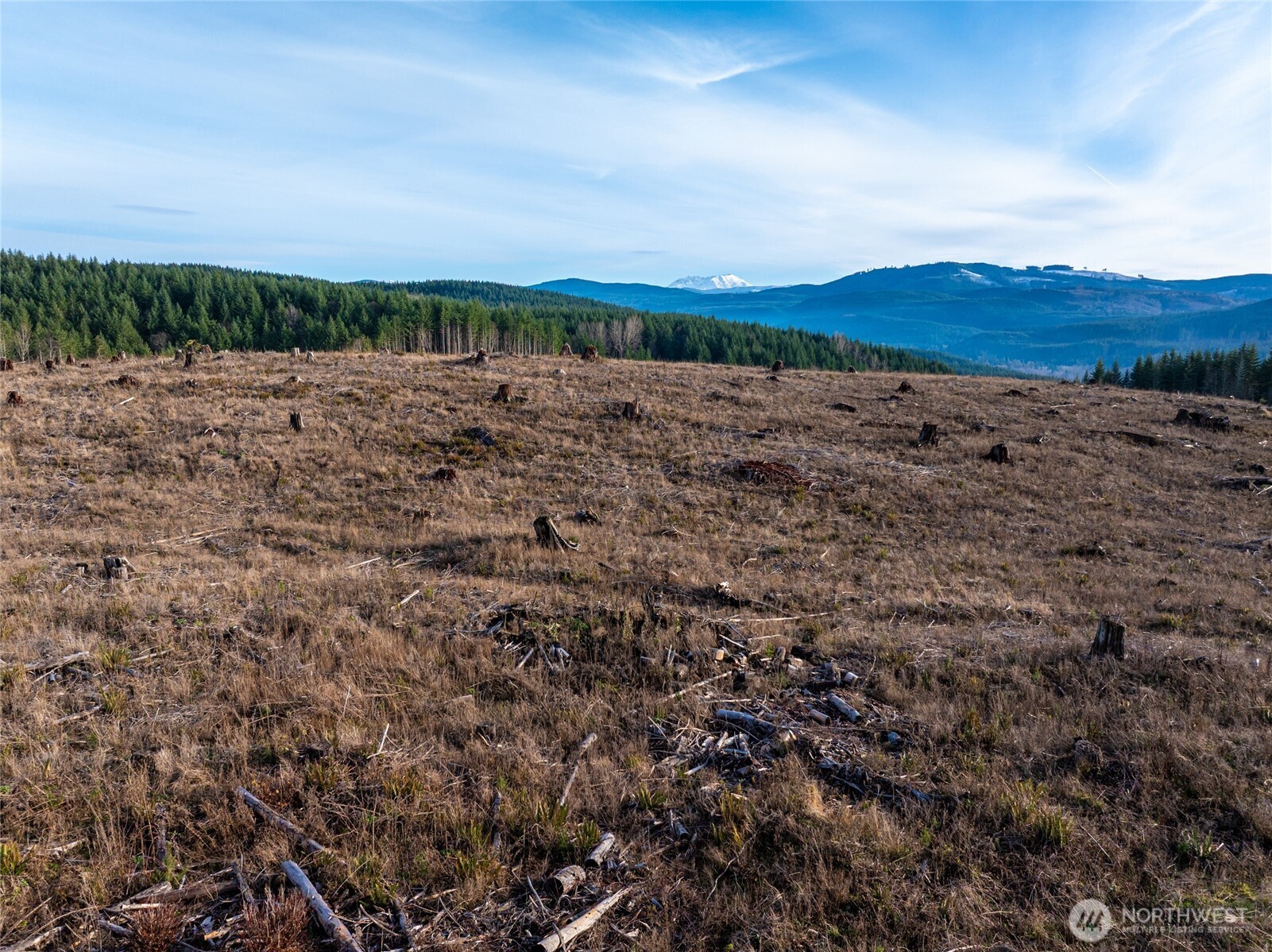 50 x Winston Creek Road