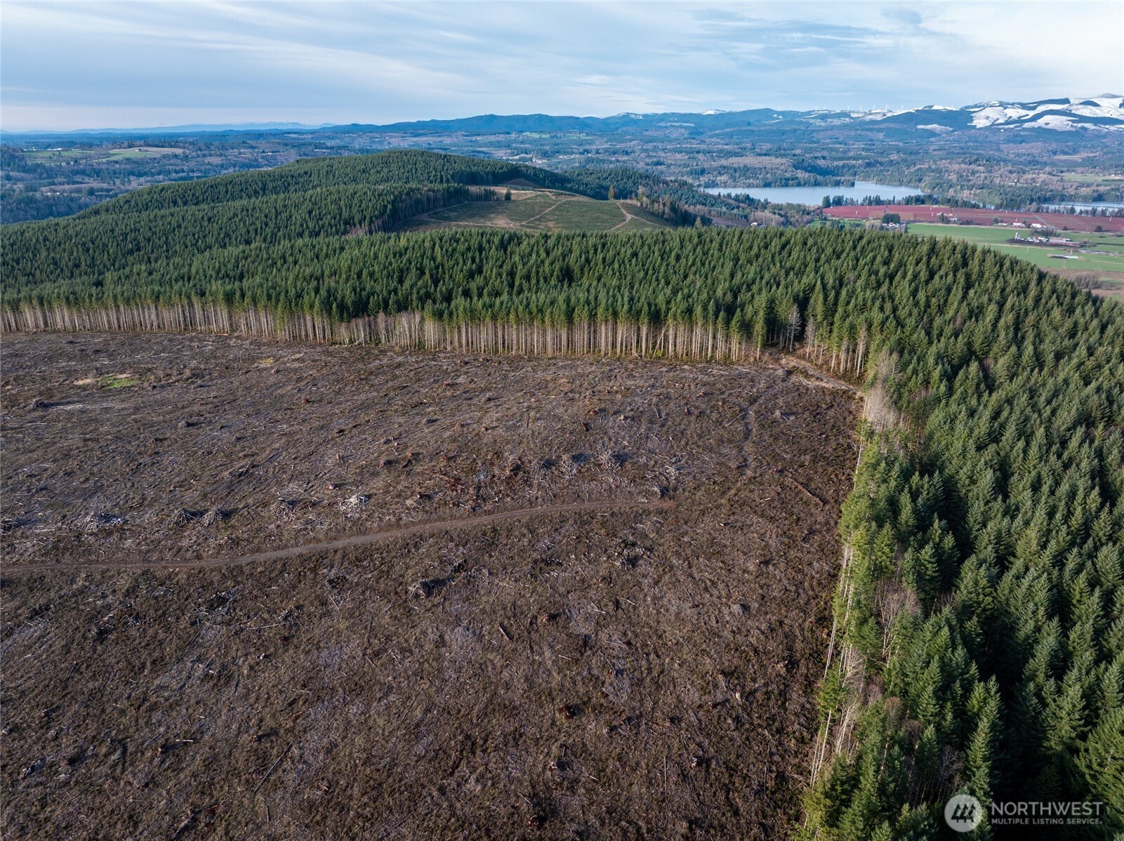 50 x Winston Creek Road
