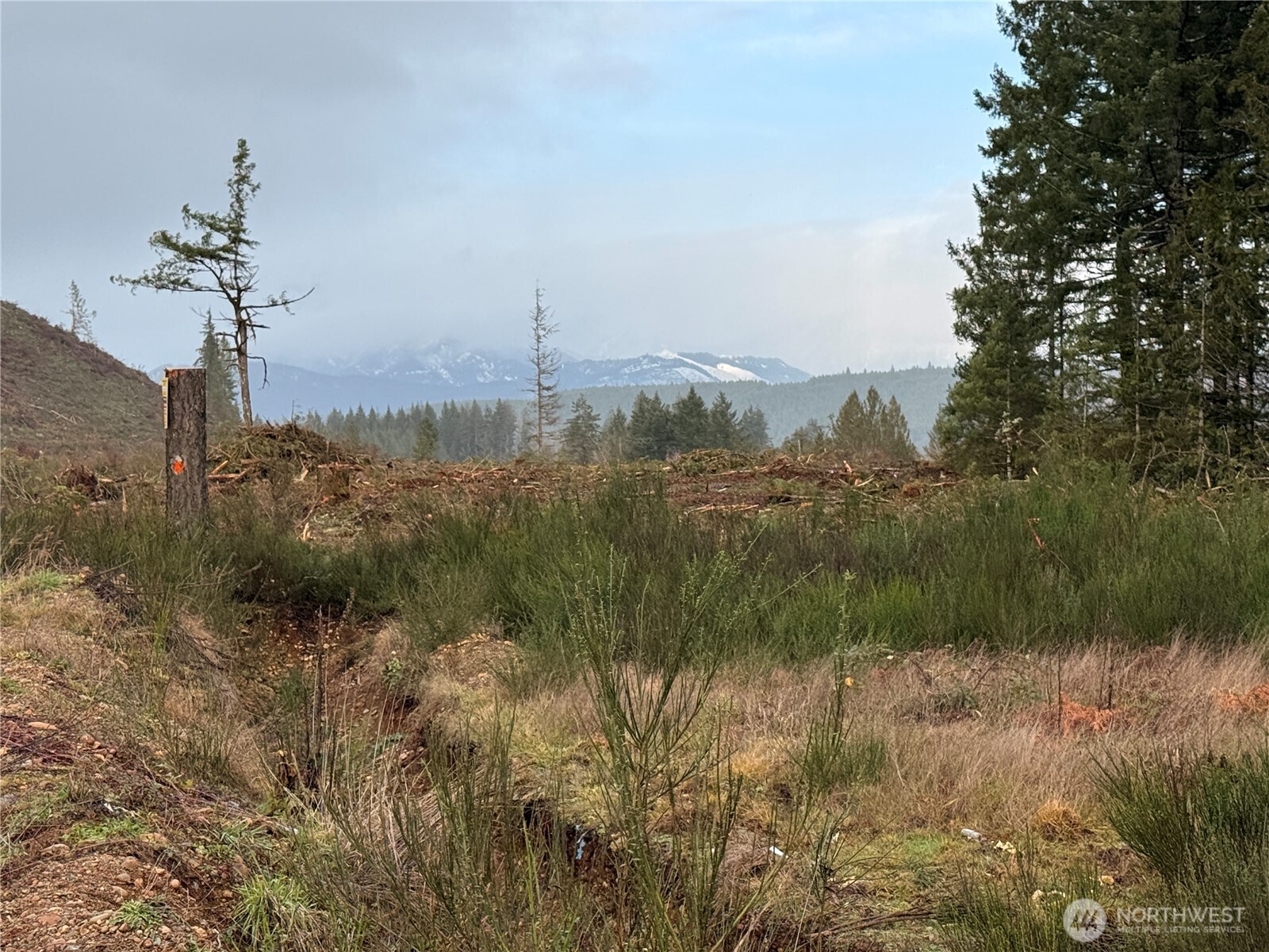 1 XX West California Road