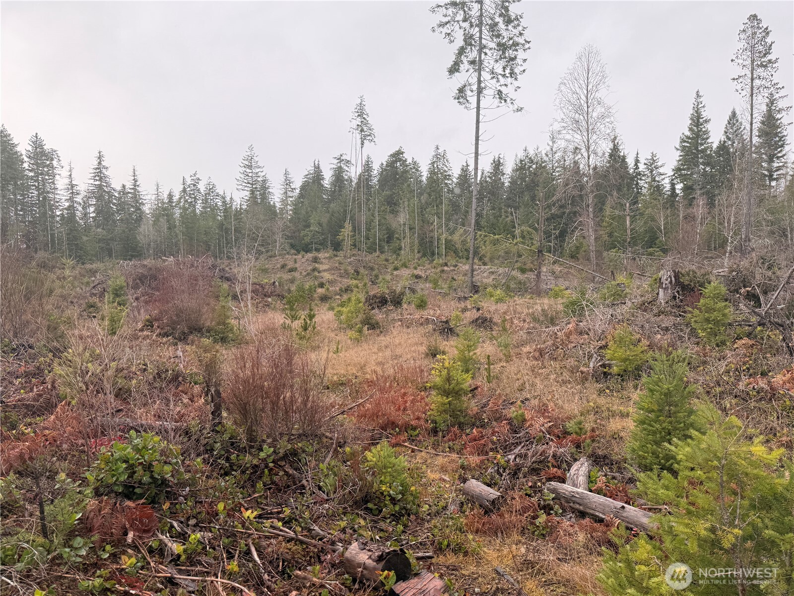 10 XX E Shetland Road