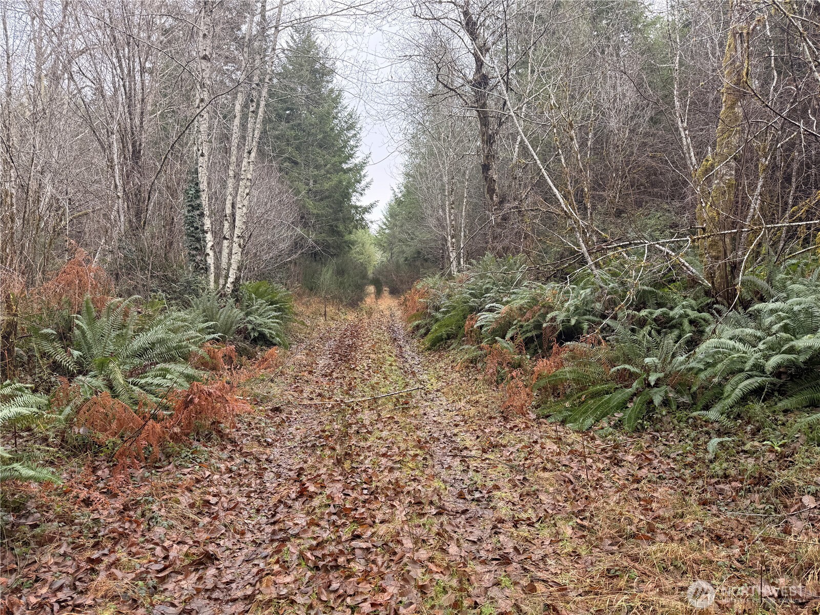 10 XX E Shetland Road