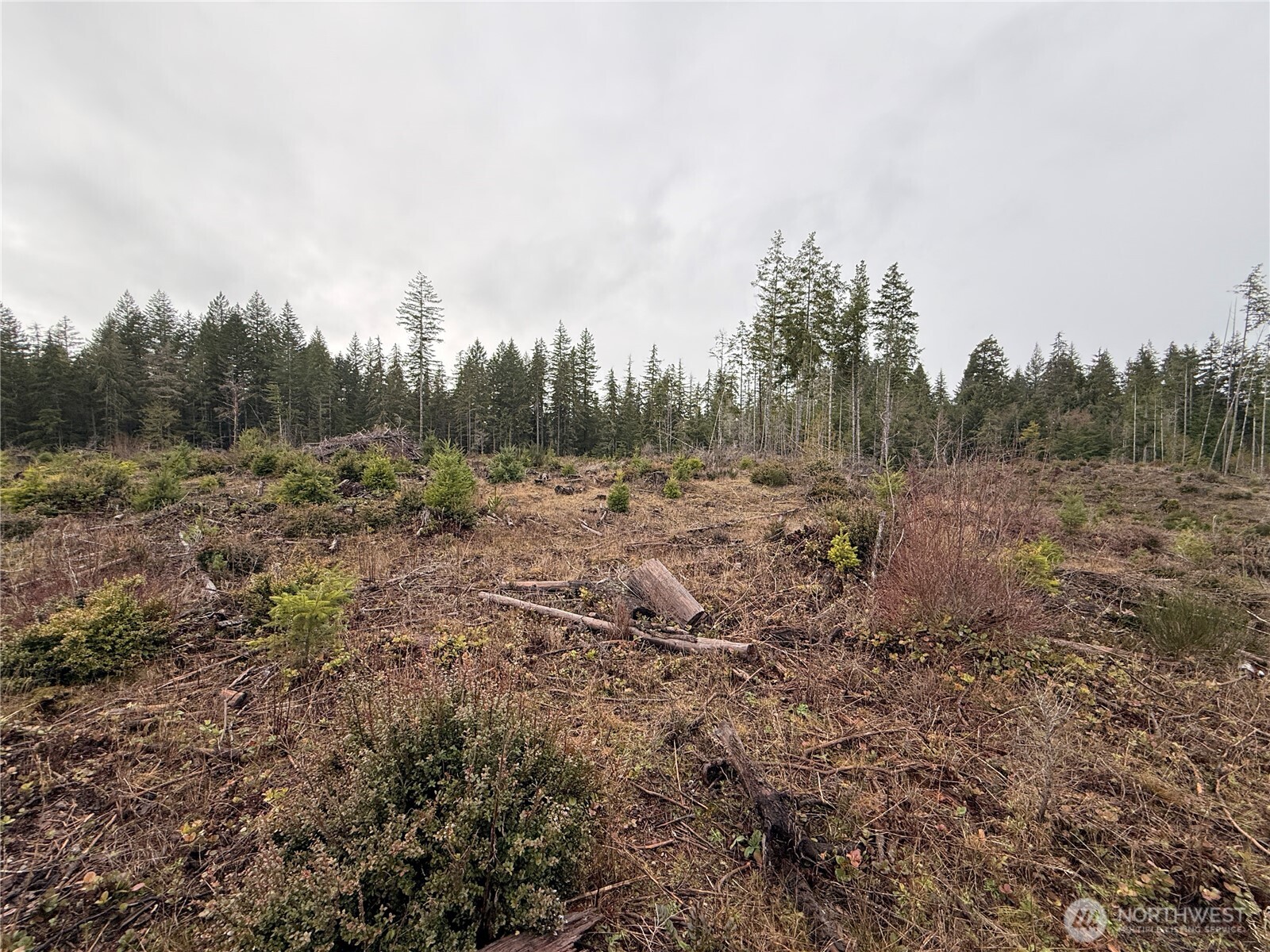 10 XX E Shetland Road