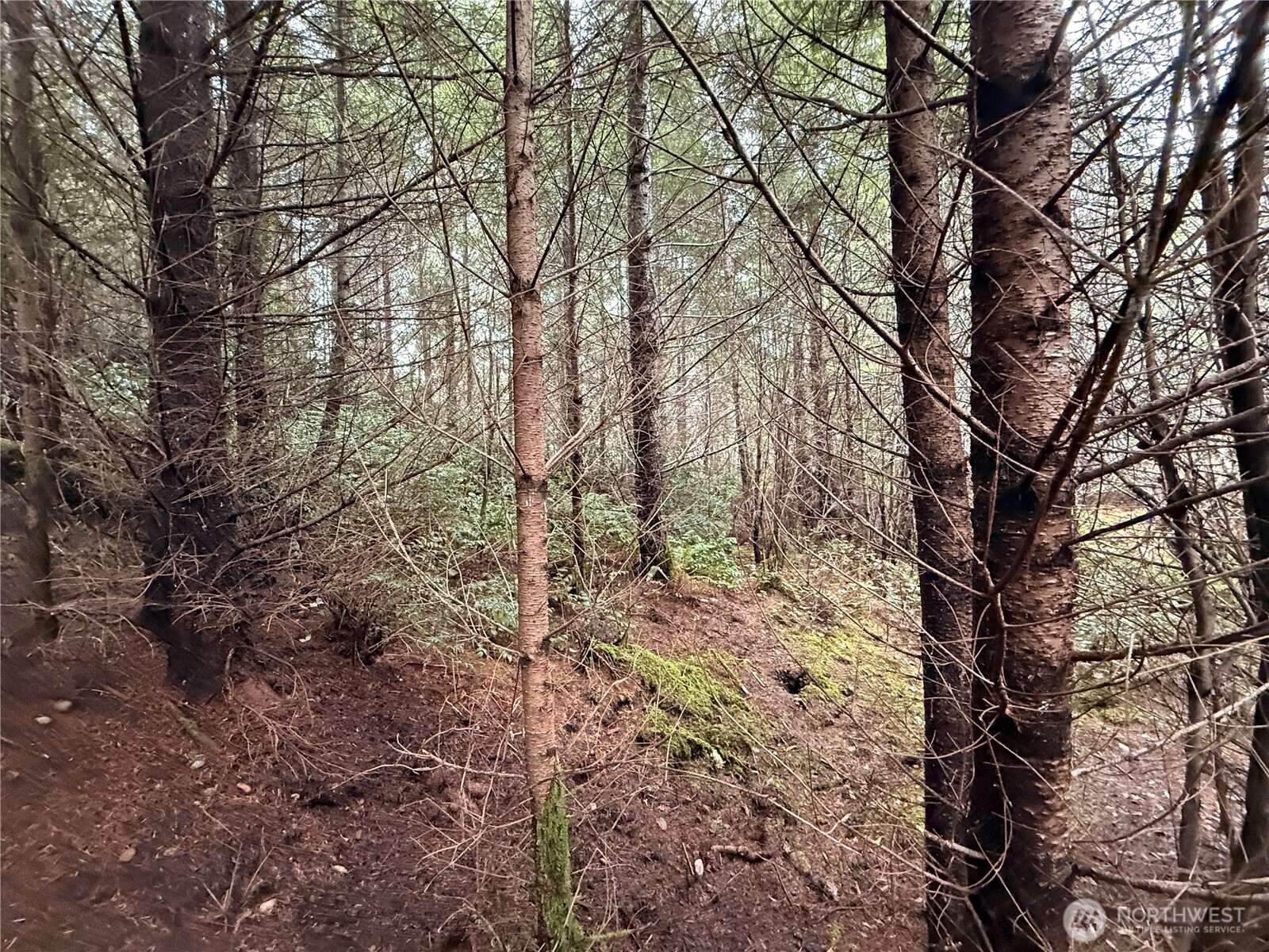 10 XX E Shetland Road