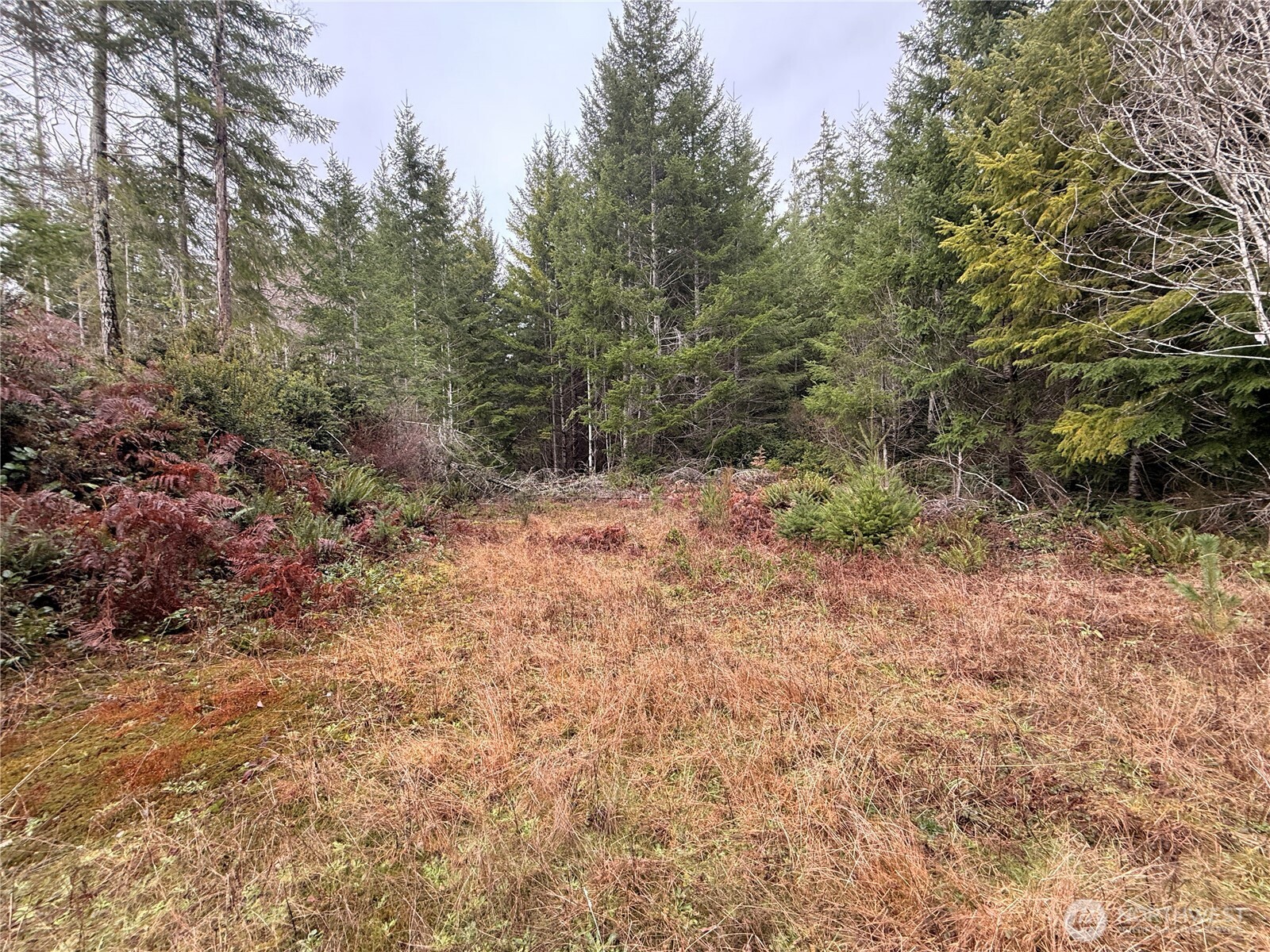 10 XX E Shetland Road