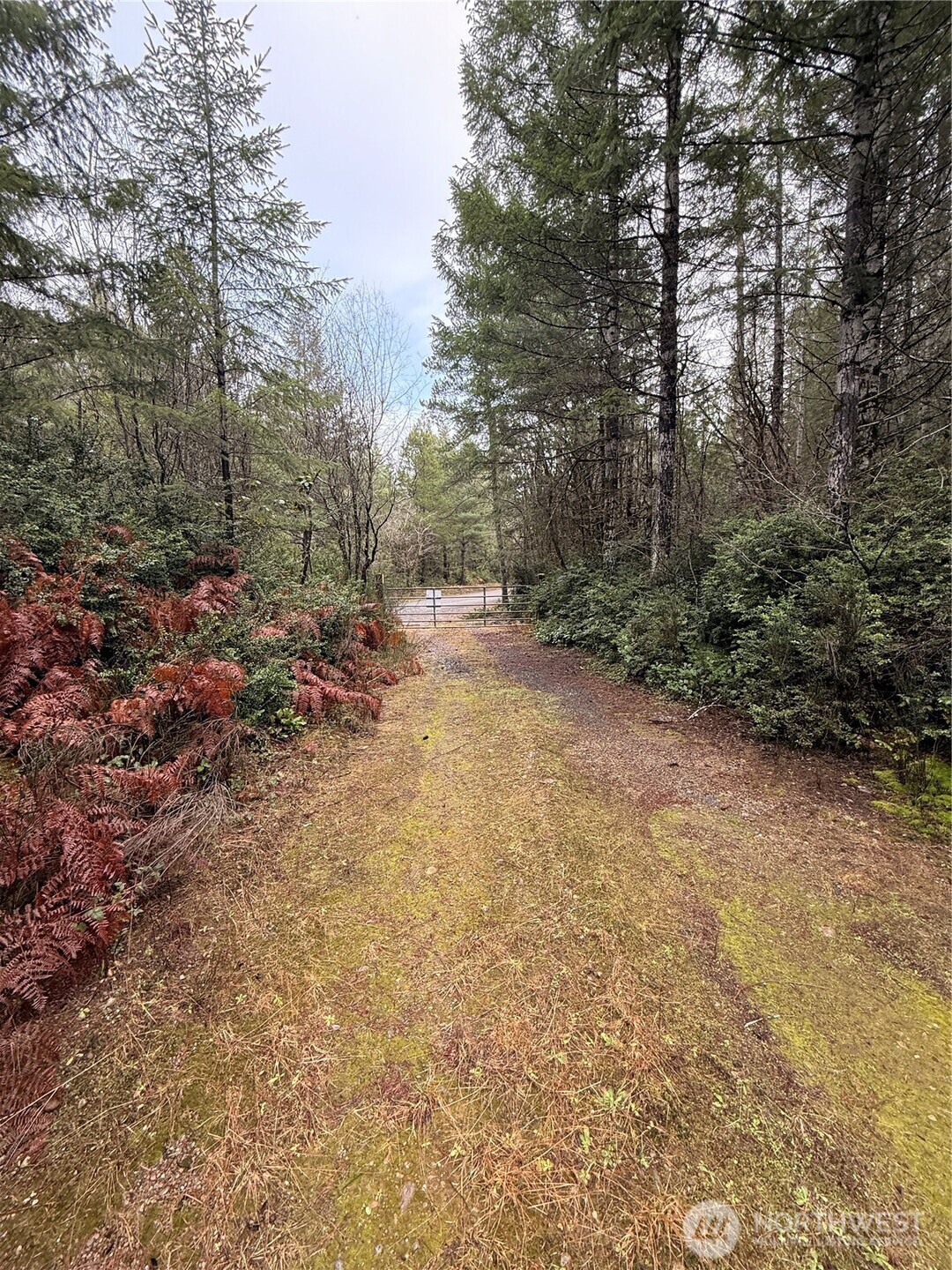 10 XX E Shetland Road