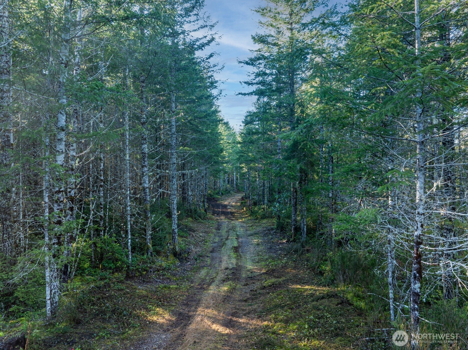 10 XX E Shetland Road