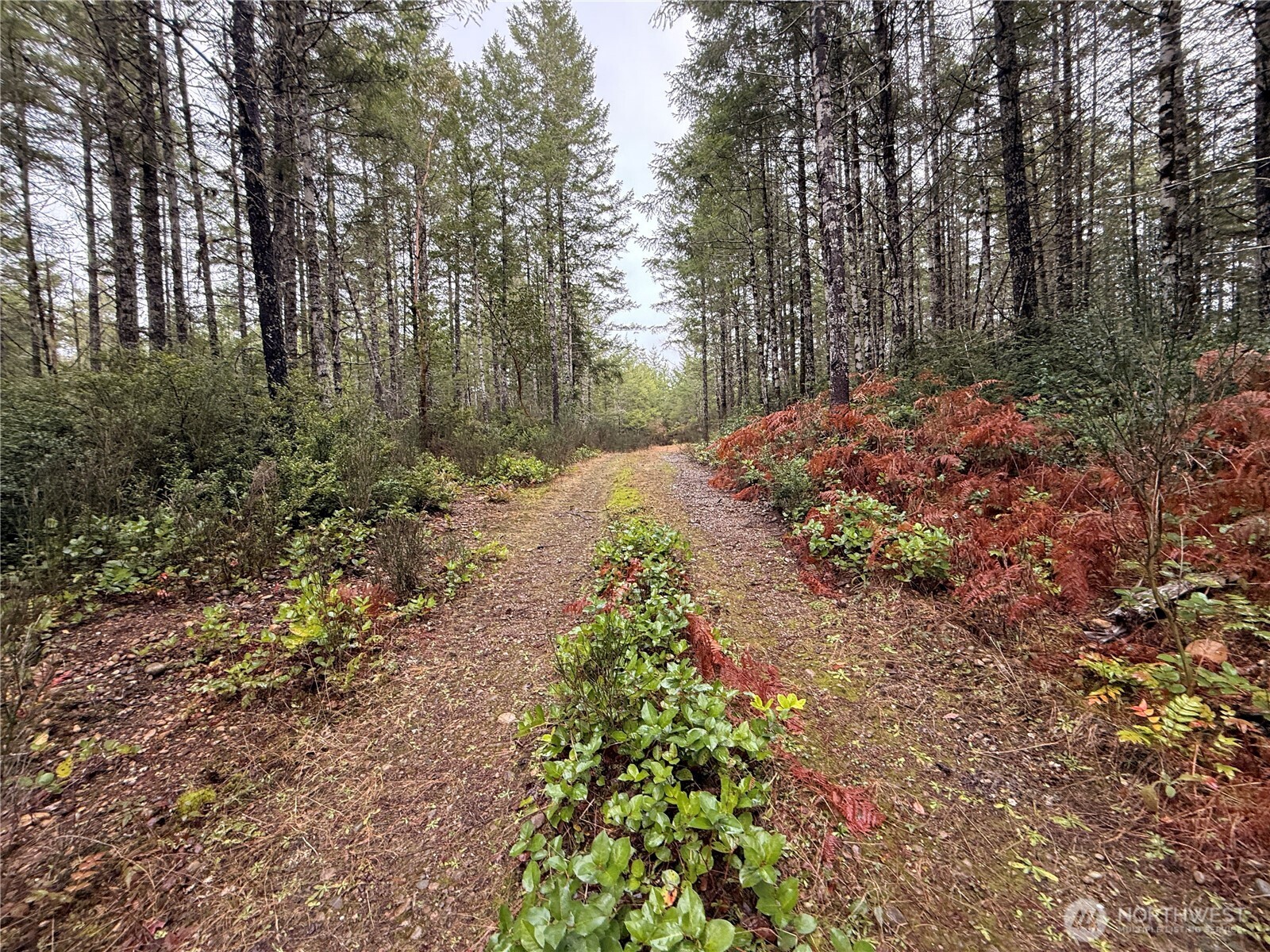 10 XX E Shetland Road