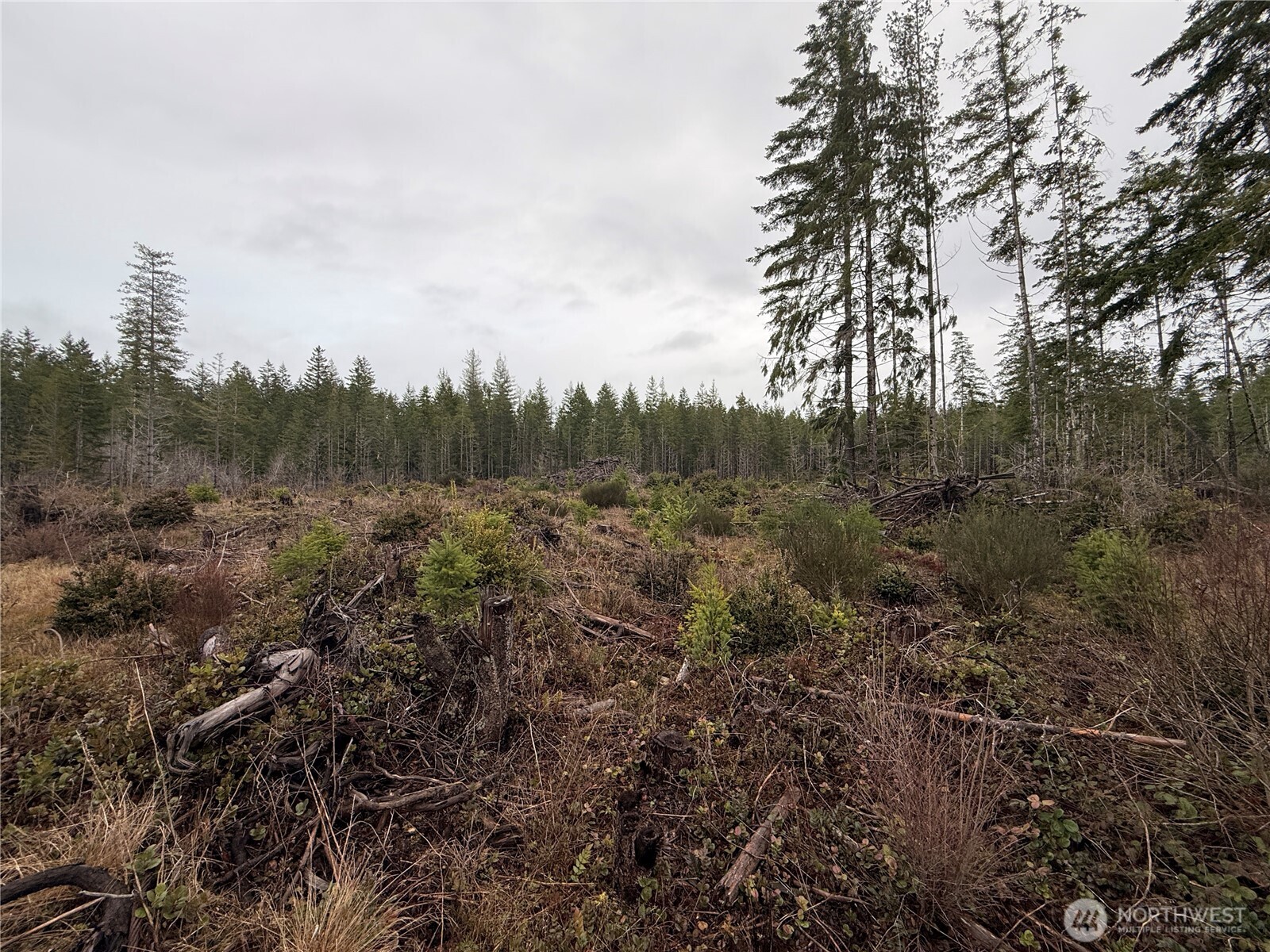 10 XX E Shetland Road