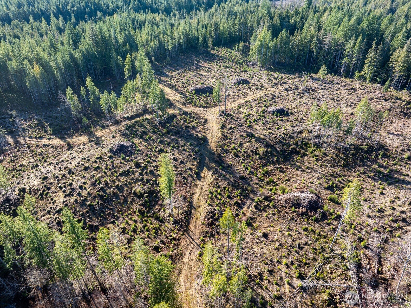 10 XX E Shetland Road