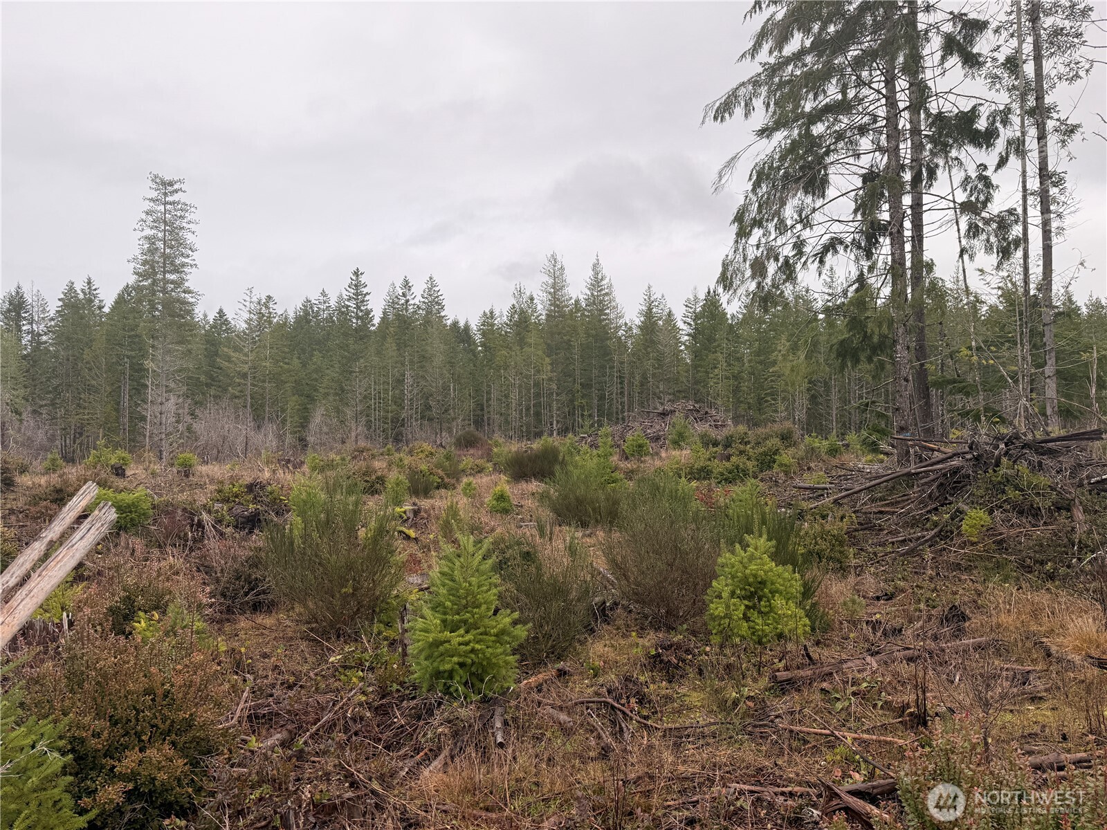 10 XX E Shetland Road