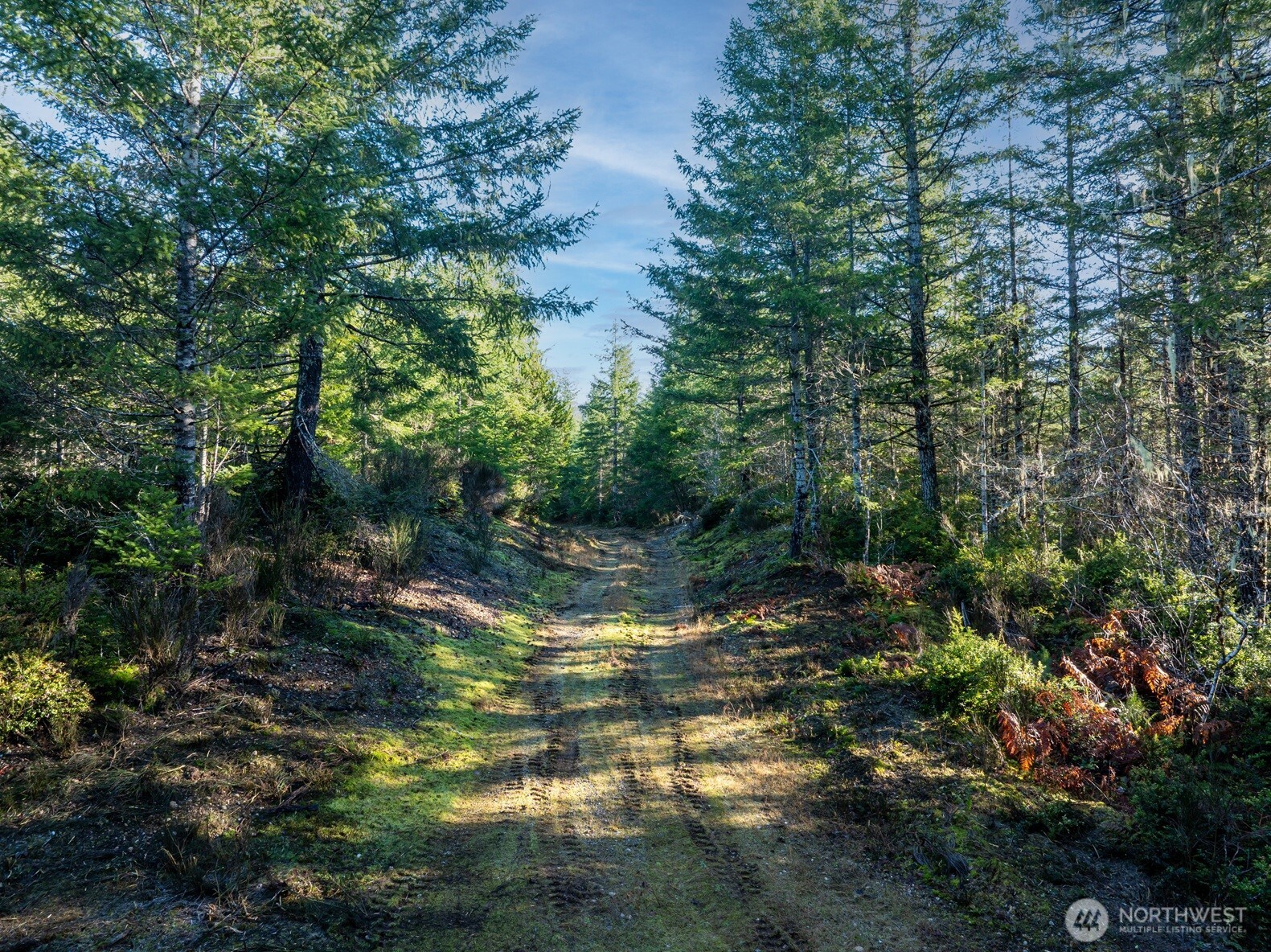 10 XX E Shetland Road