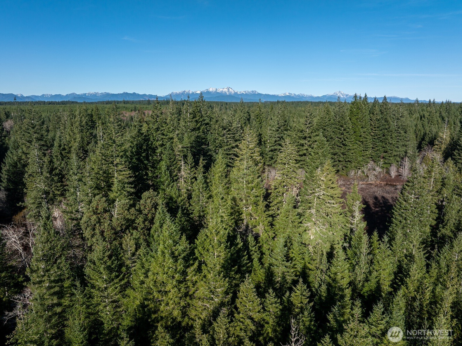 10 XX E Shetland Road