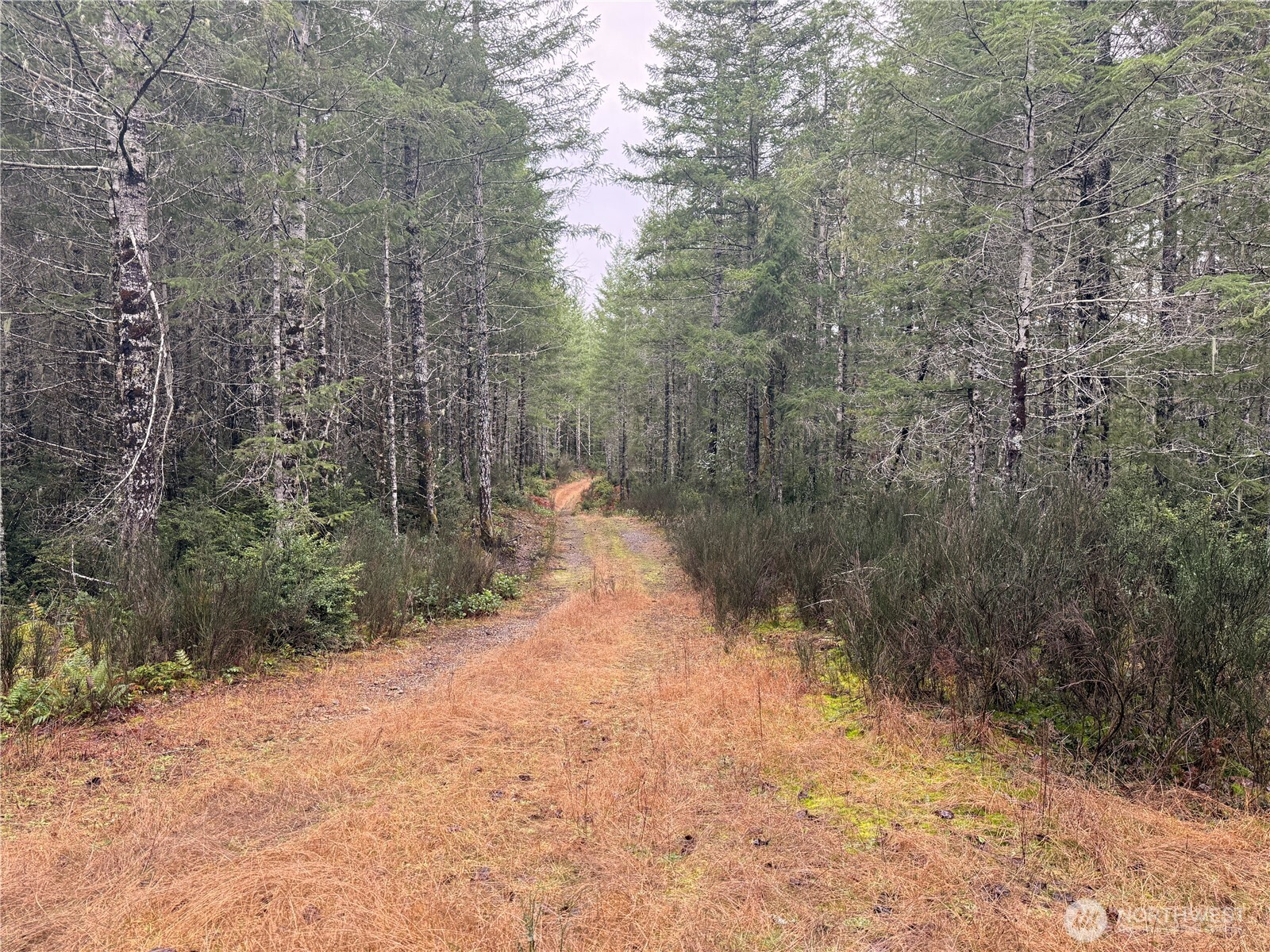 10 XX E Shetland Road