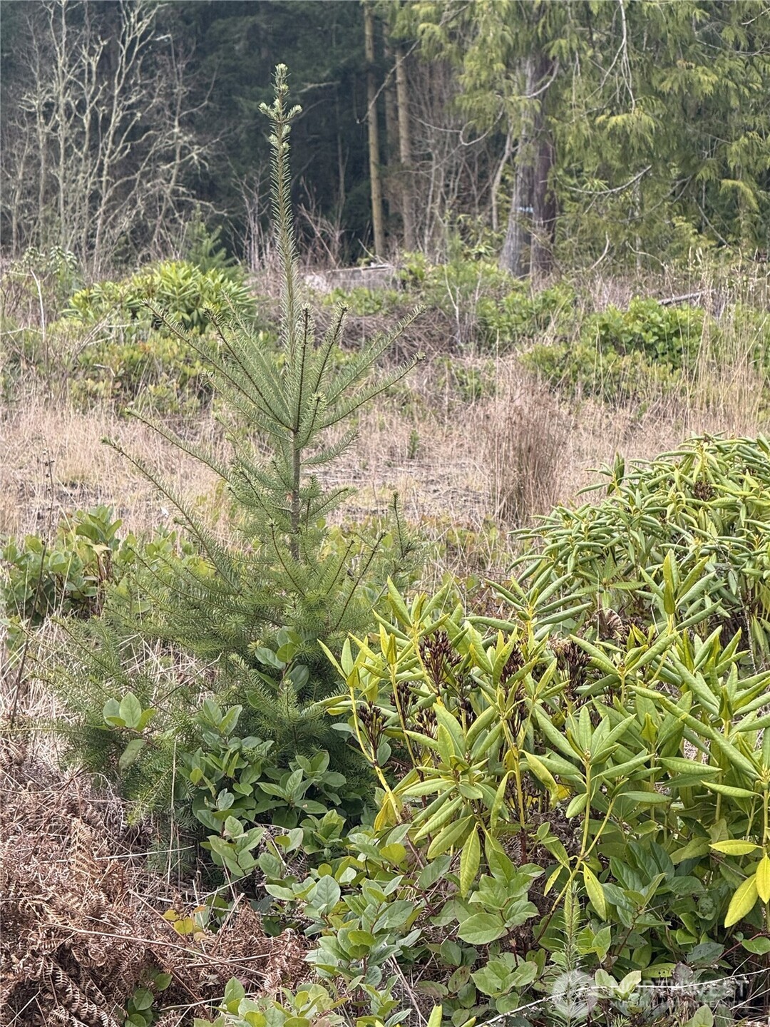 1422 E Sequim Bay Road