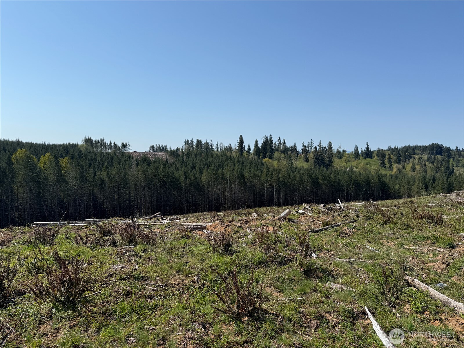 7 xx Centralia Alpha Road
