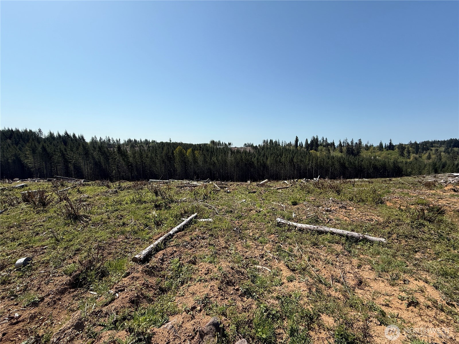 7 xx Centralia Alpha Road